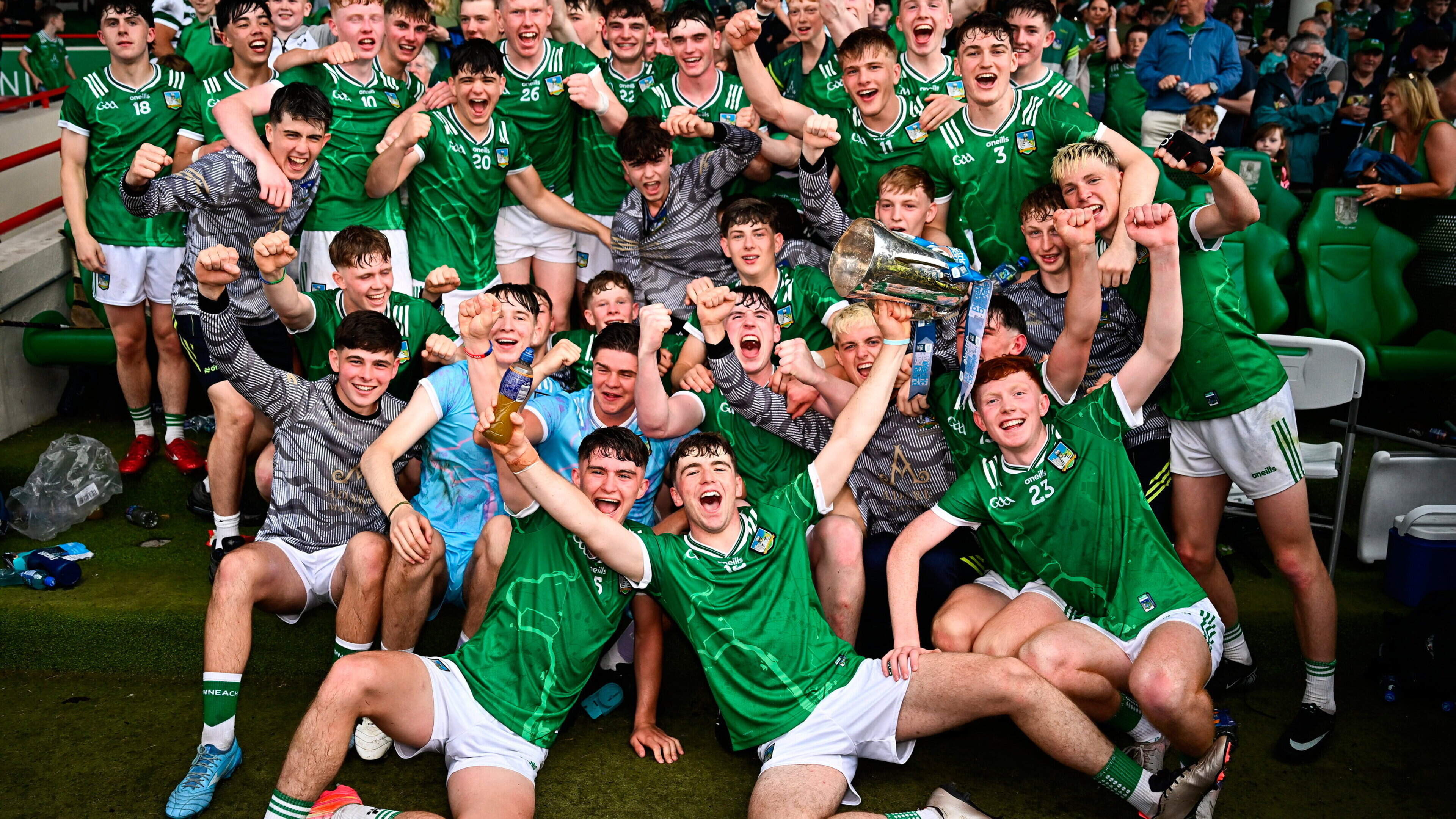 Limerick Wins All-Ireland Minor Hurling Championship