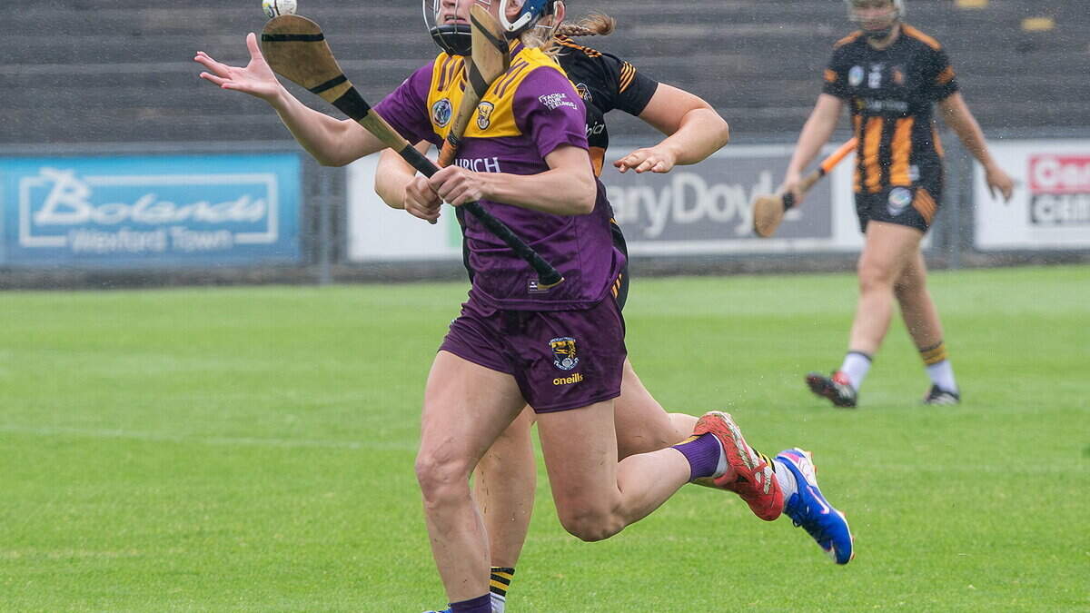 Wexford Loses to Kilkenny in Camogie Championship
