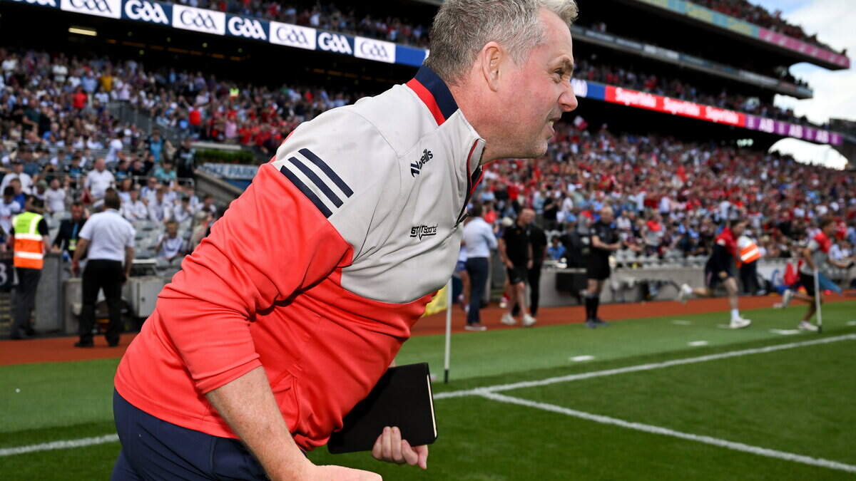 Louth Advances to All-Ireland Semi-Final