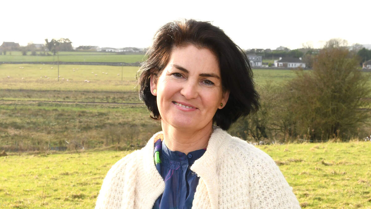 Galway Artist Karena Ryan Exhibits in The Hague