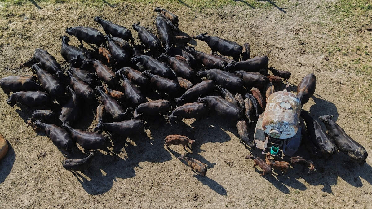 Europe Faces Severe Heatwave Impacting Agriculture