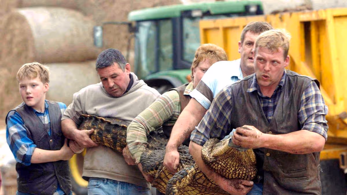 Boy, 3, injured in crocodile enclosure incident
