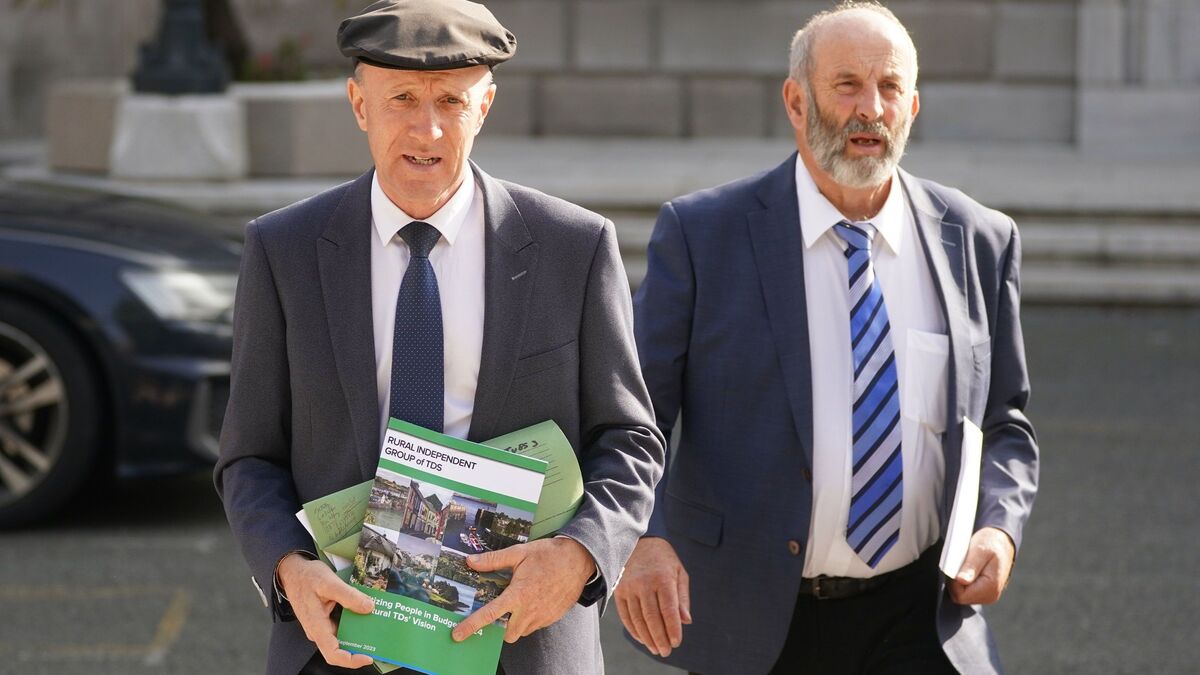 Danny Healy-Rae Defends Withdrawal of Government Support
