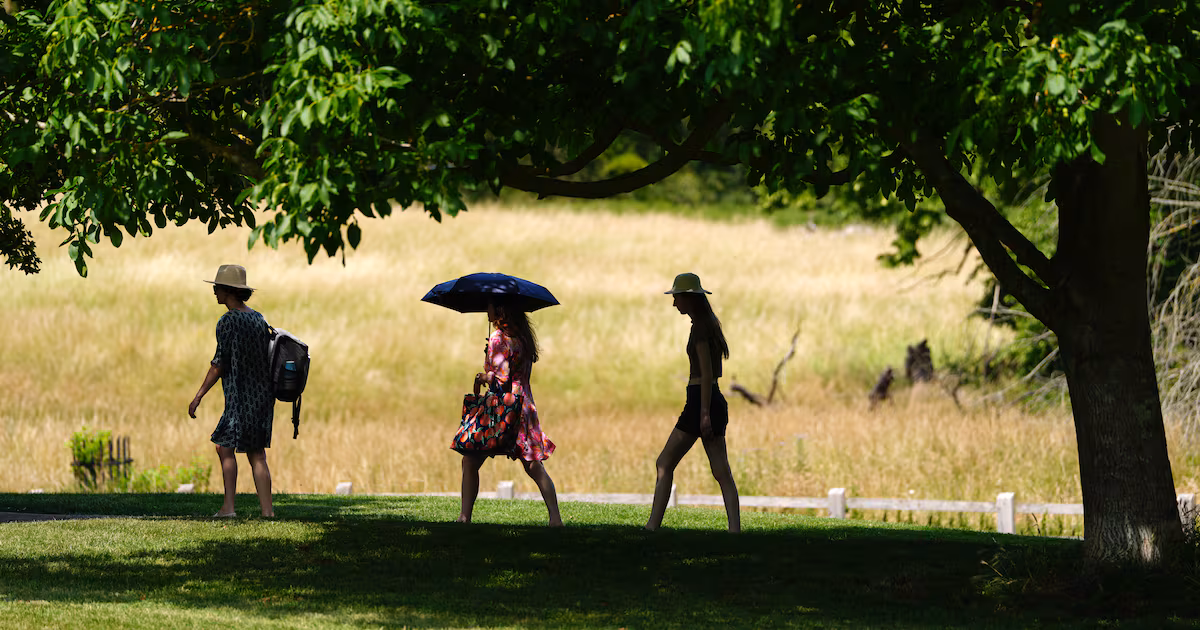 Warmest June on record for England