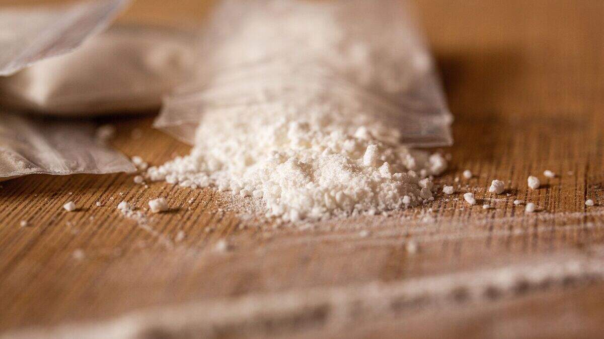 Over 500 kg of cocaine found in frozen tuna