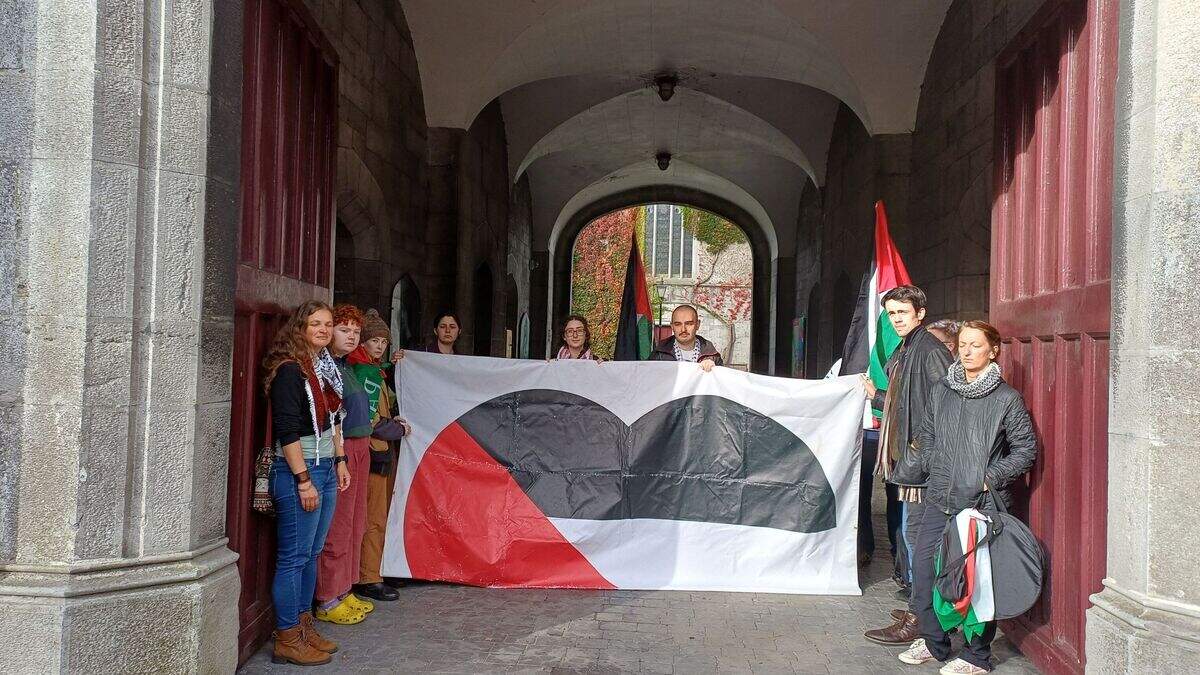 Irish Centre urges Galway University to cut ties