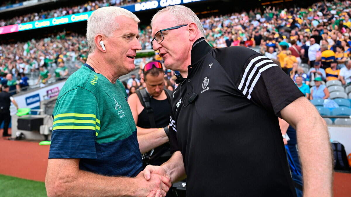 Limerick Advances to All-Ireland Final