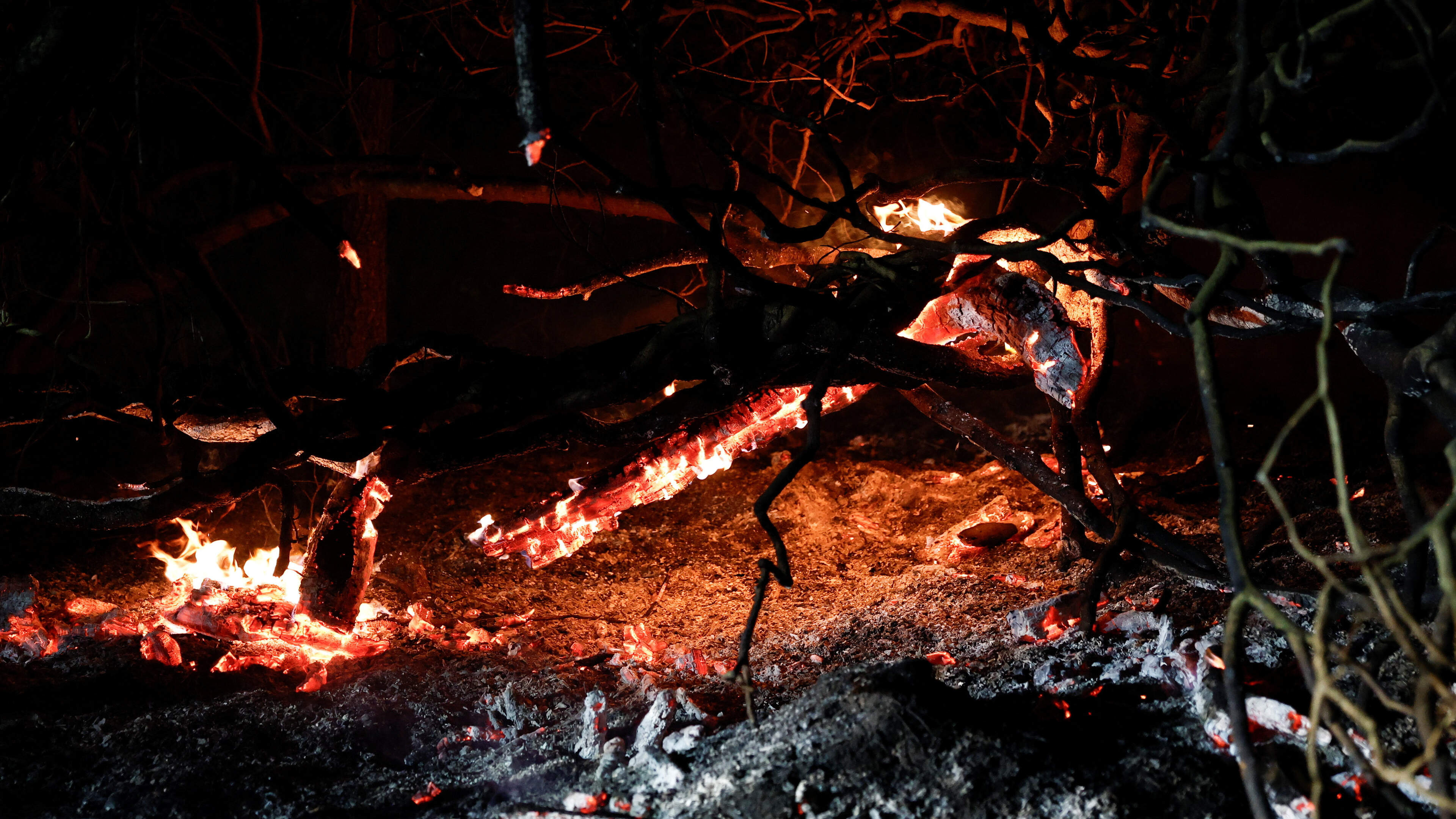 Wildfire Near Paris Scorches Over 800 Hectares