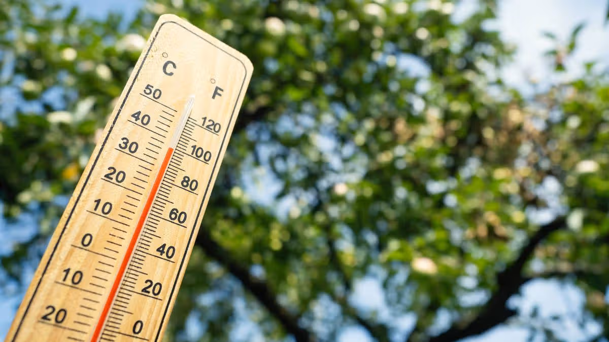 Fears for Water Supply in Ireland Amid Heatwave