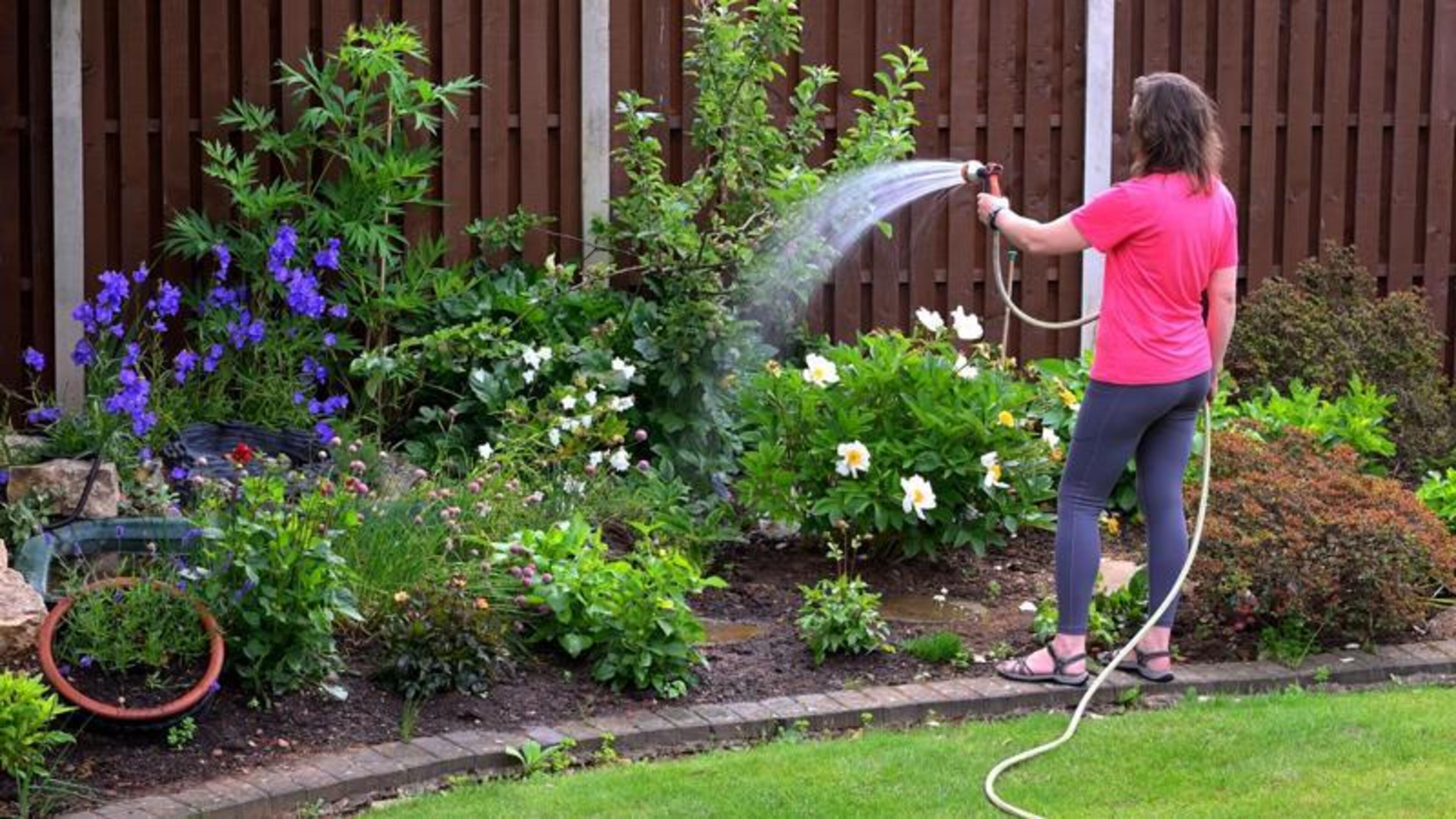 Hosepipe Ban Implemented in Dublin and Surrounding Areas