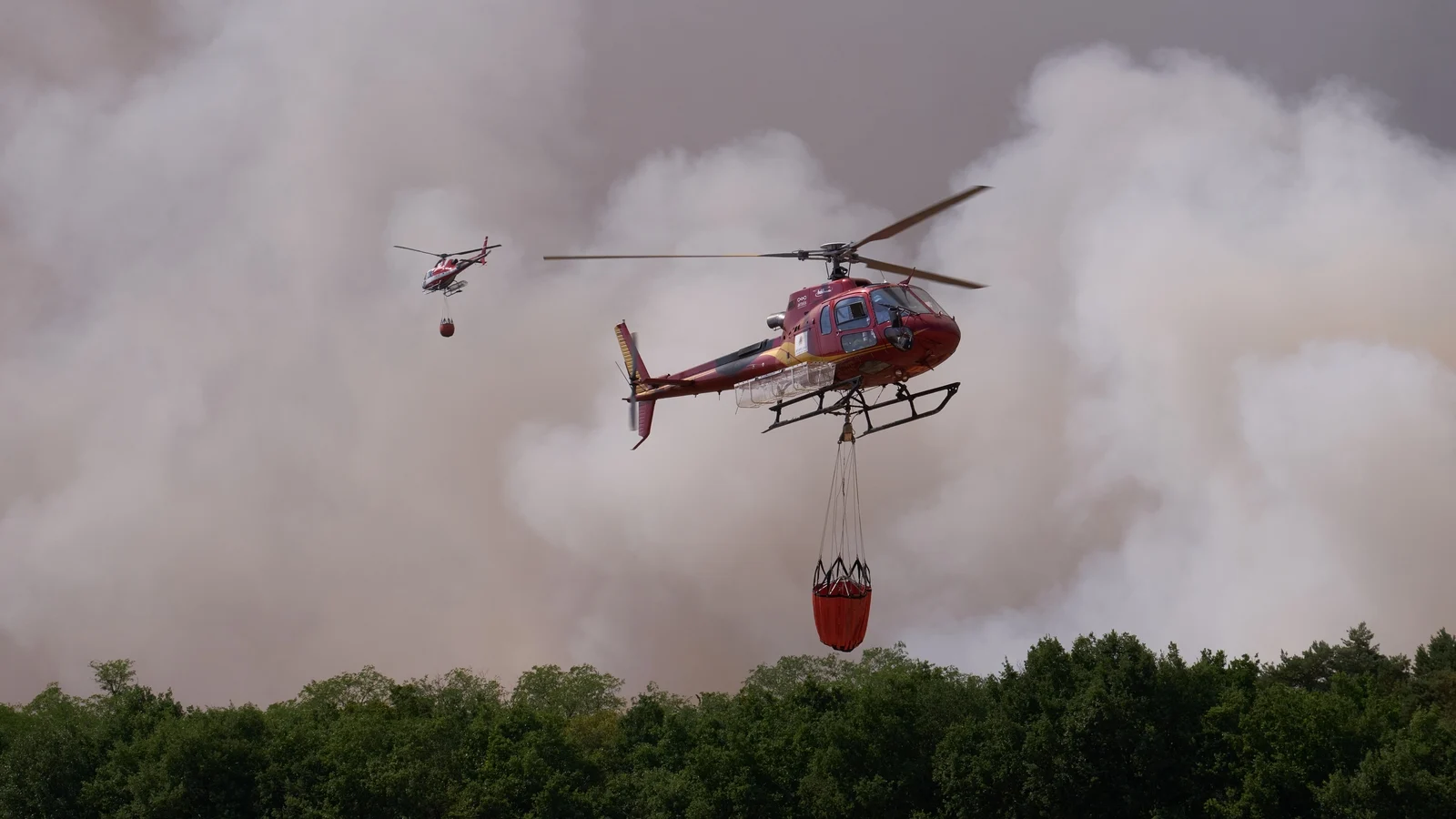 Wildfires Advance in Forest South of Paris