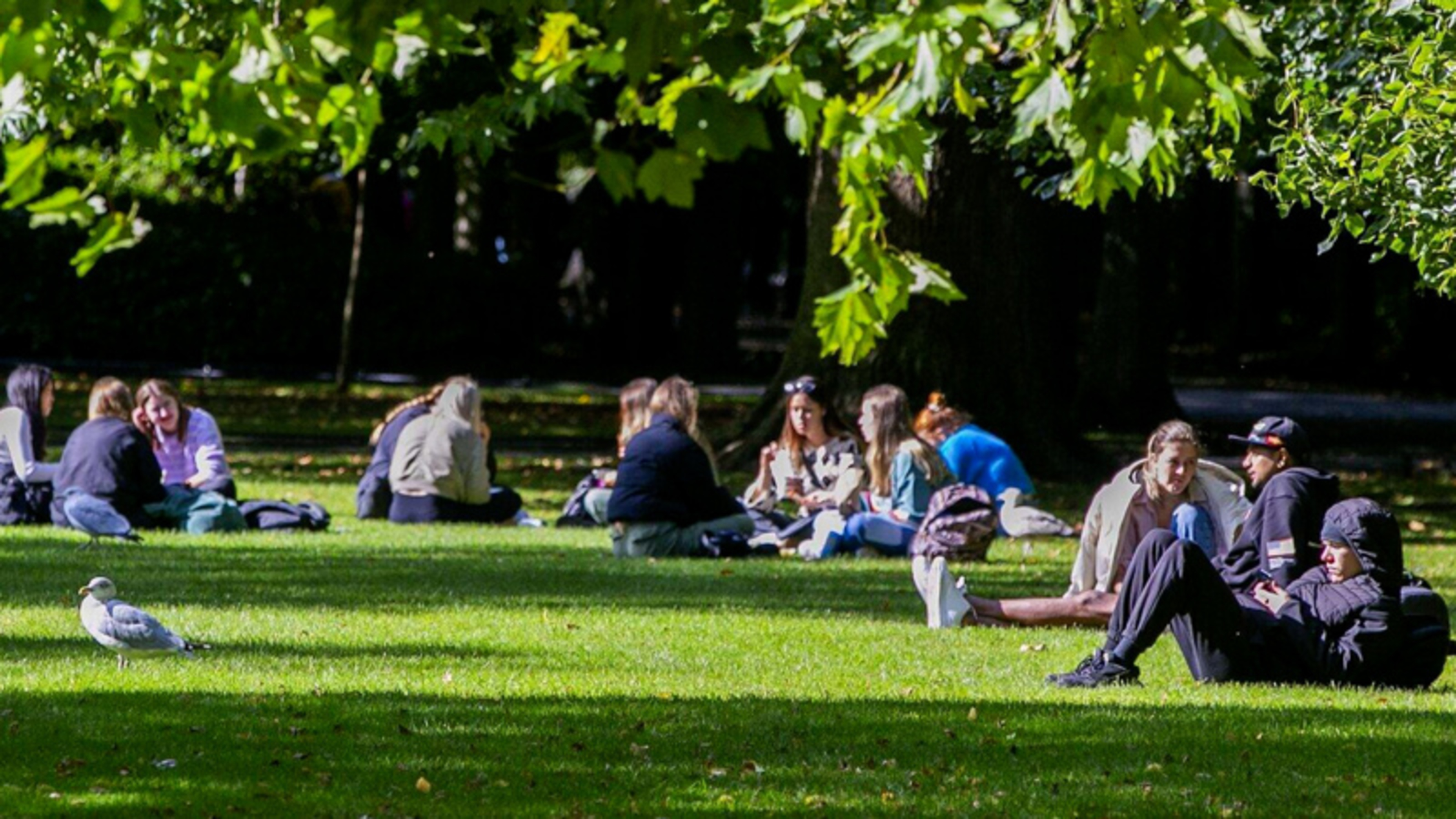 Creches Close Early Due To Heatwave