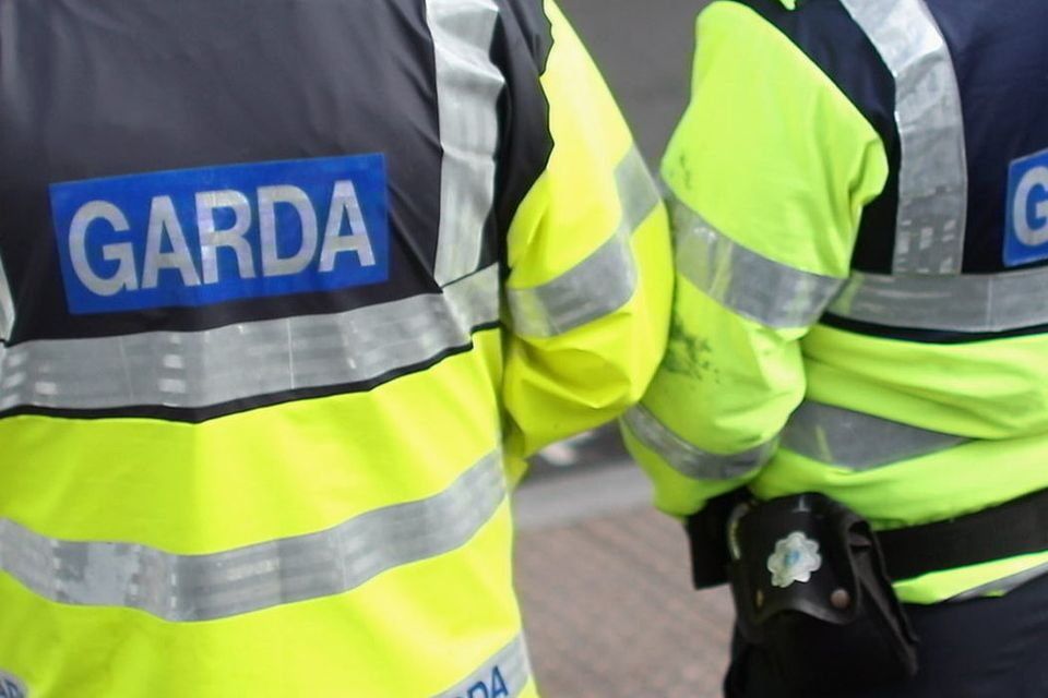 Two Arrested for Theft in County Clare