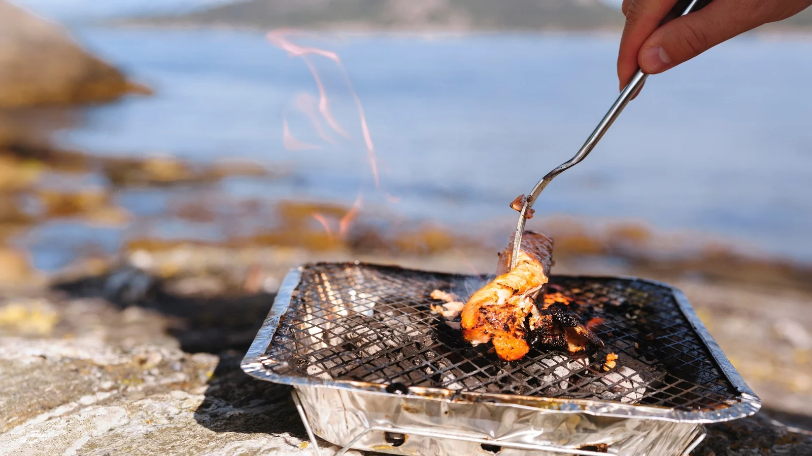 SD Calls for Ban on Disposable Barbecues