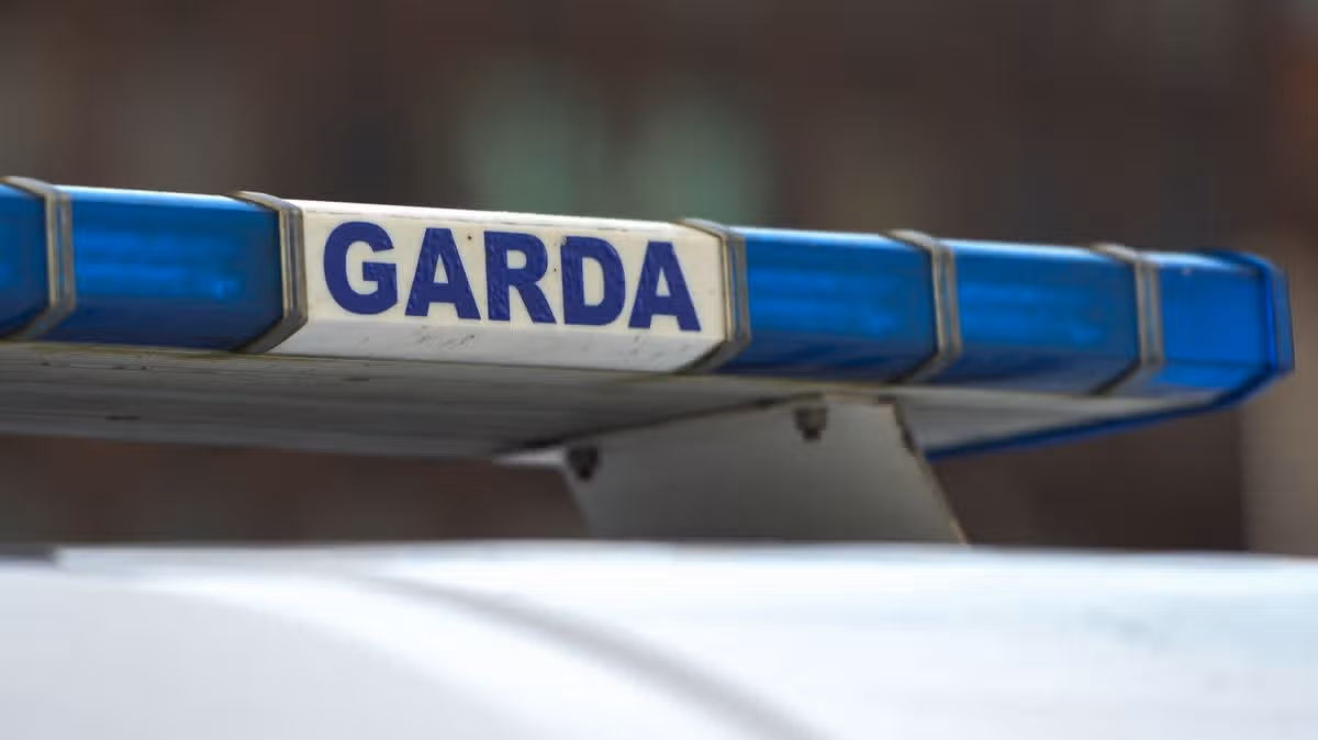 Woman hospitalised after serious assault in Duleek