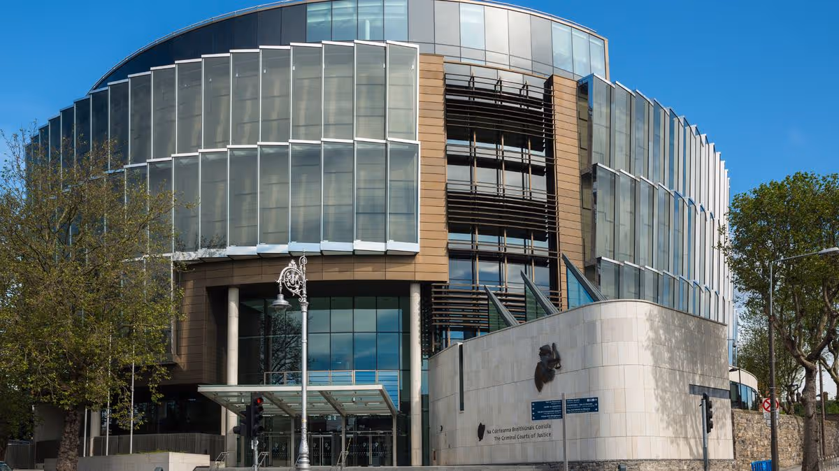 Teenager Sentenced for Violent Attack in Dublin