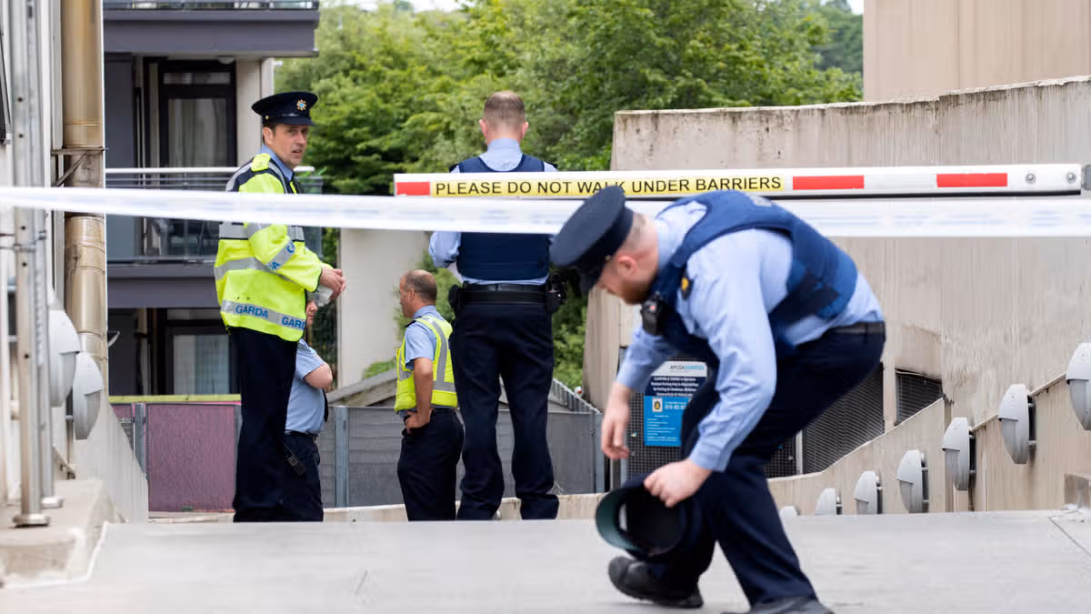 Patrick Fitzgerald Withdraws Appeal on Prison Sentence