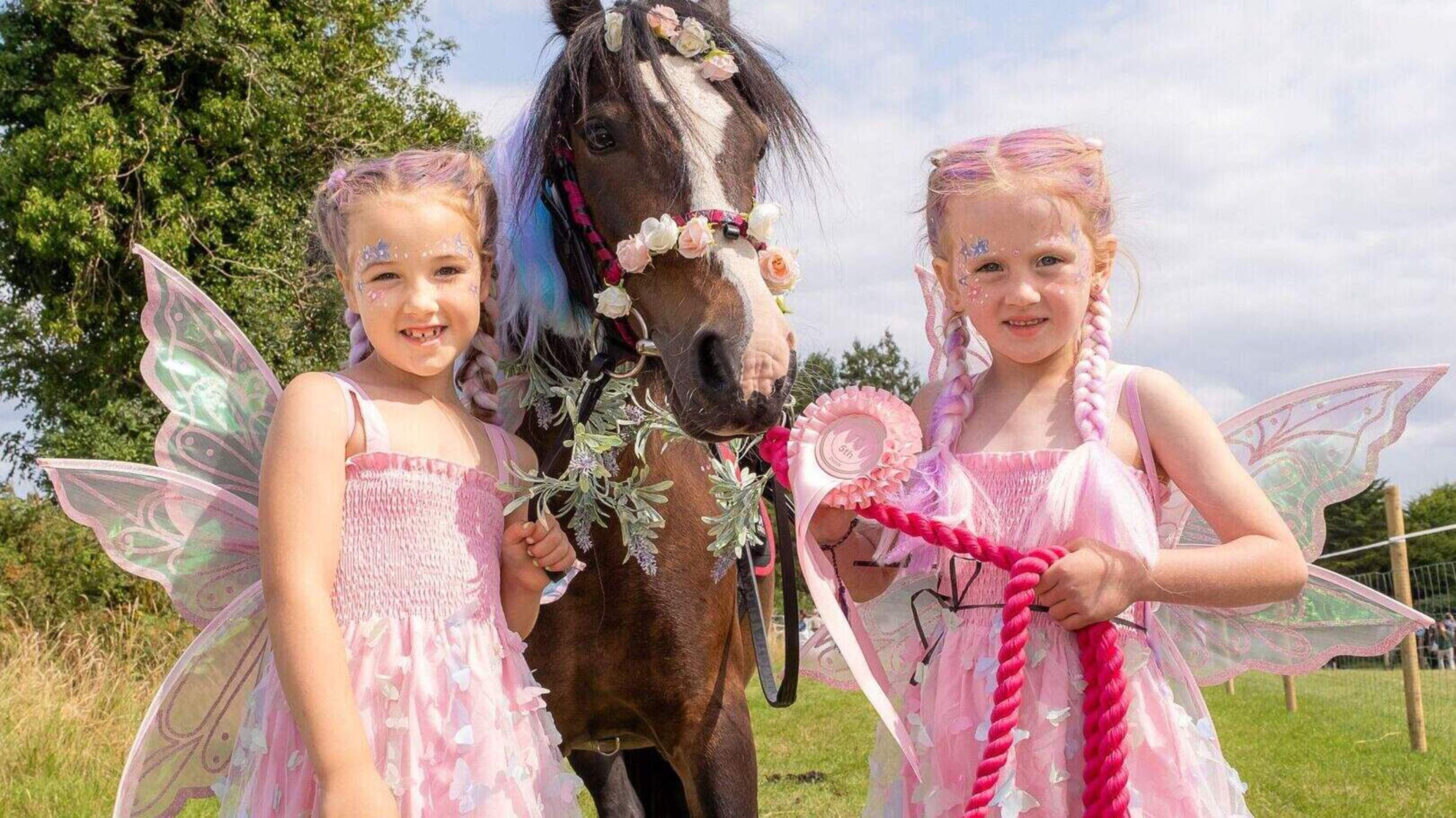 Kilmacanogue Show Scheduled for July 25