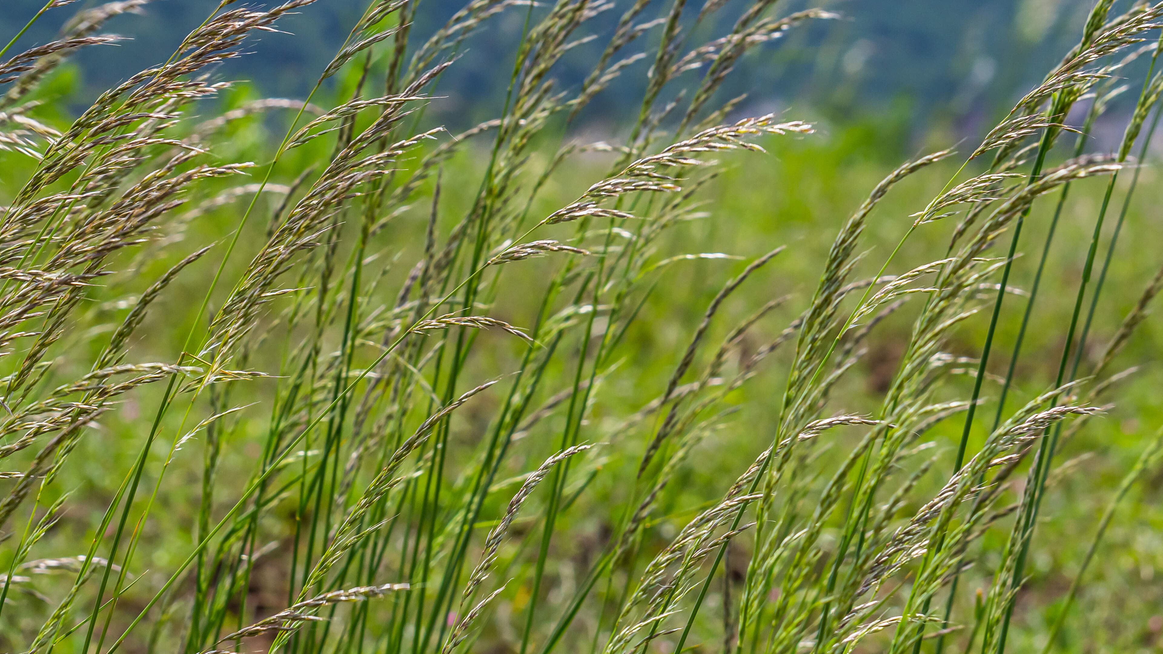Ireland's Local Authorities Ranked for Environmental Enforcement