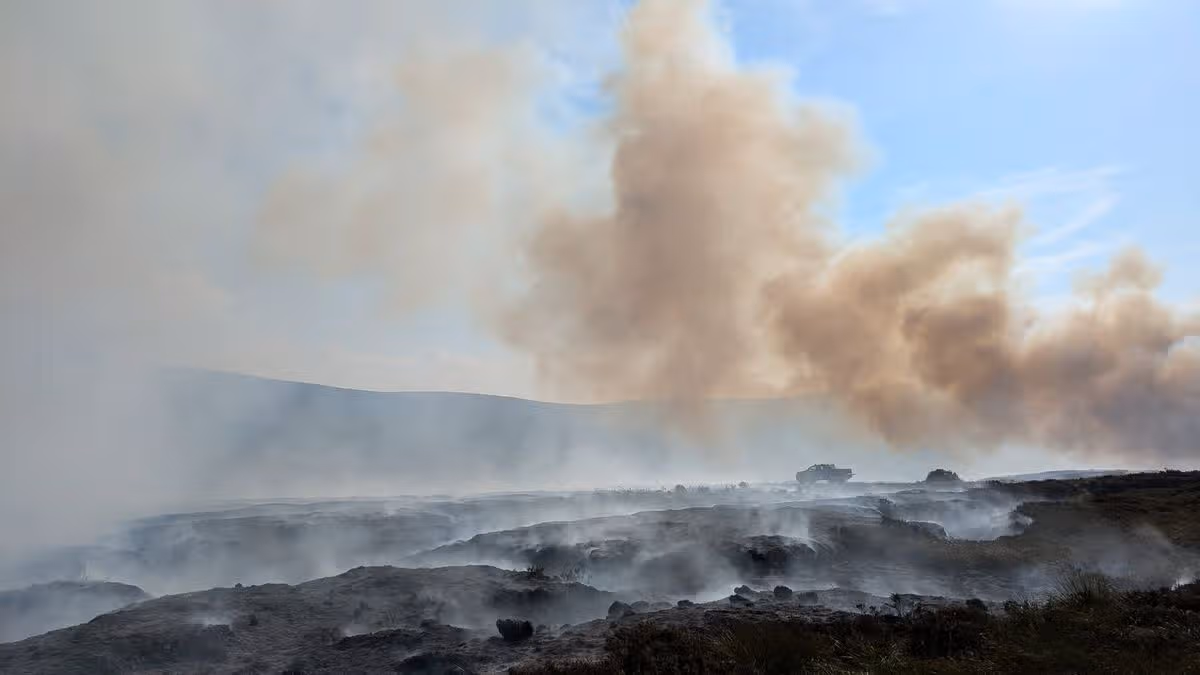 Public Warned Against BBQs After Wildfire