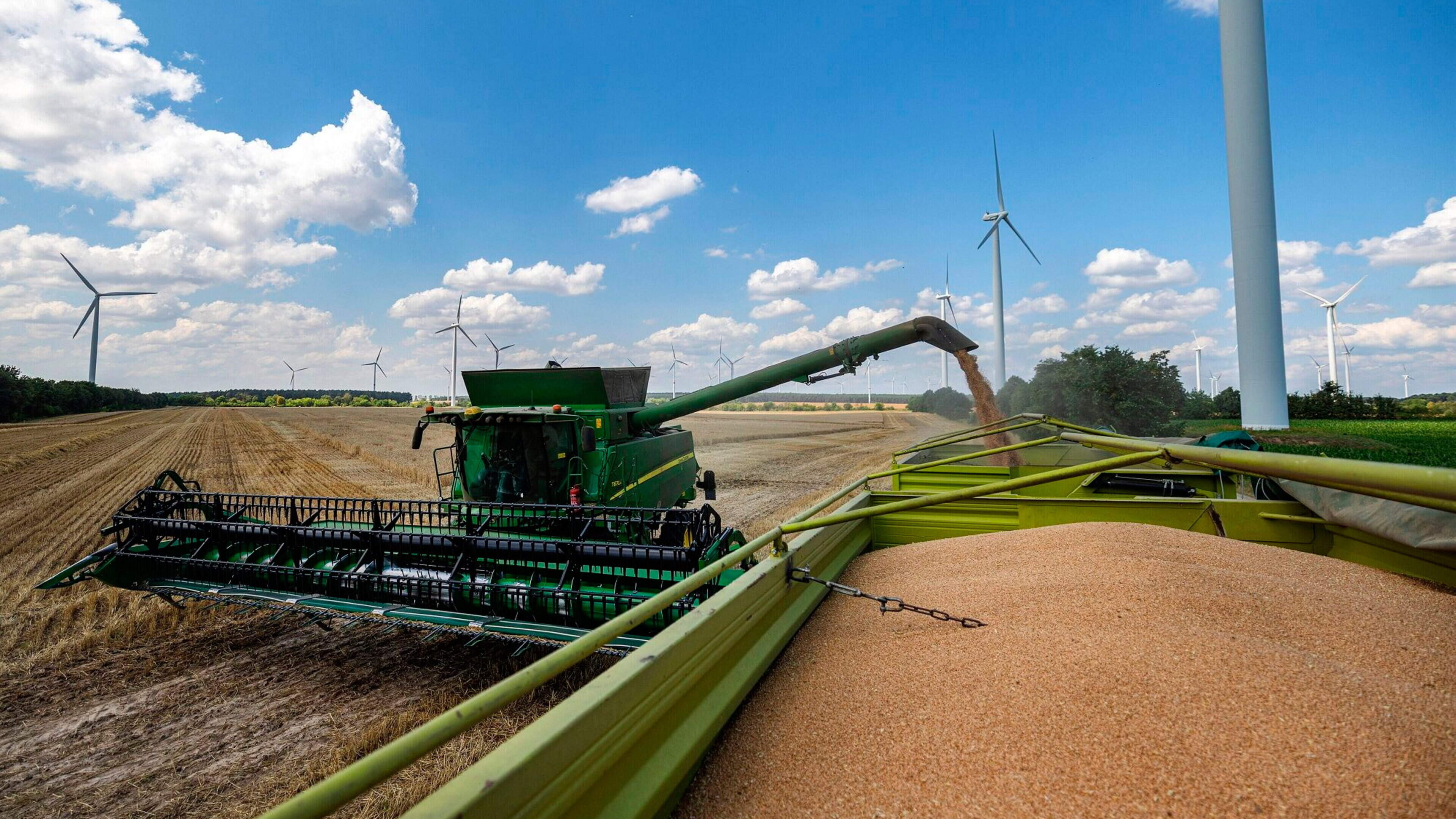 Europe's Grain Harvest Faces Major Setback