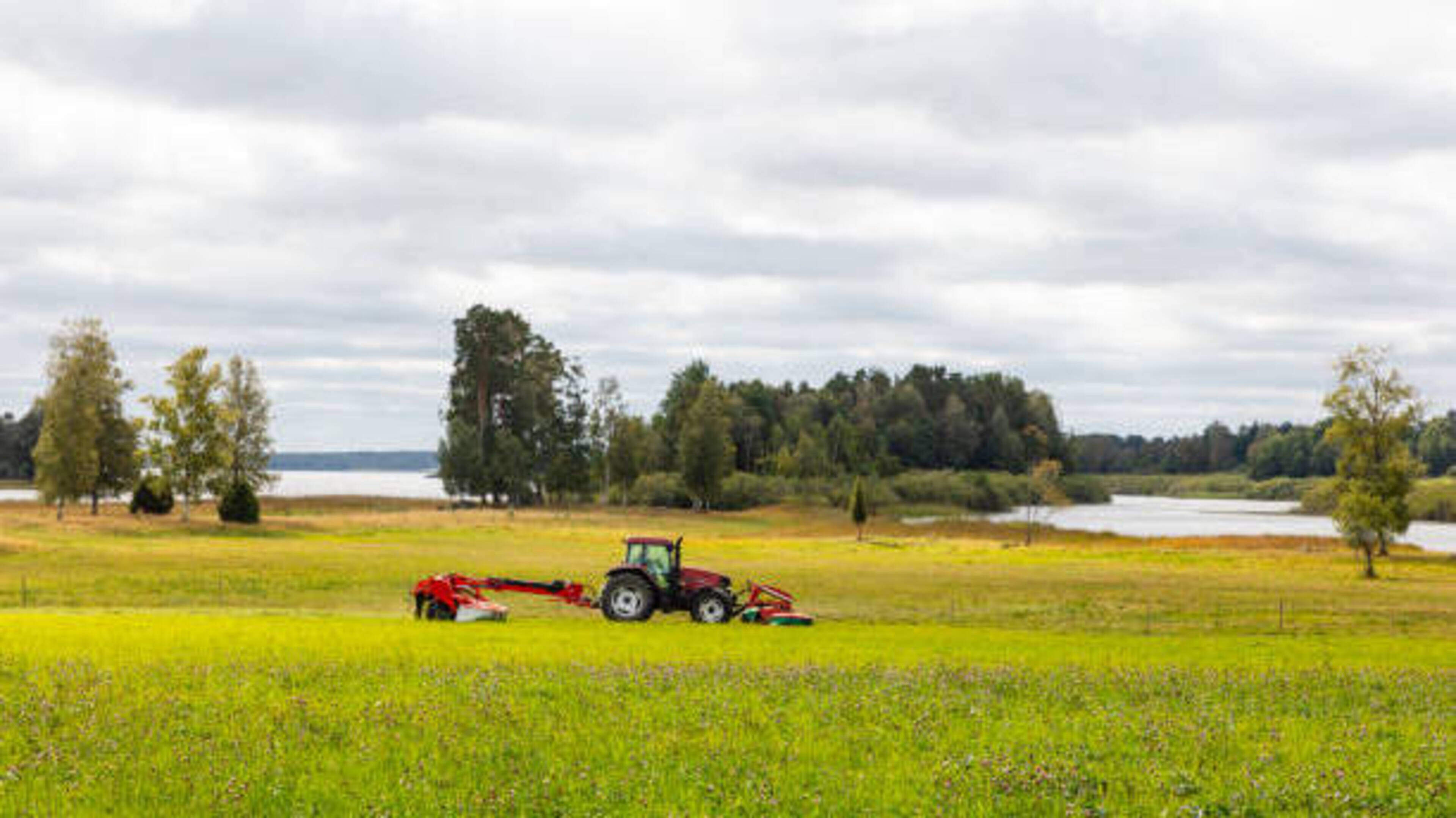 €661,123 Distributed to Farmers in Offaly