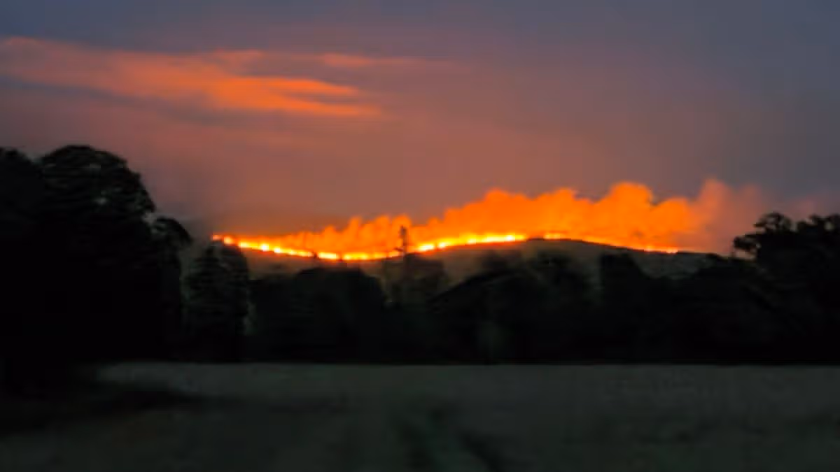 Wildfire Continues to Burn on Slievenamon Mountain