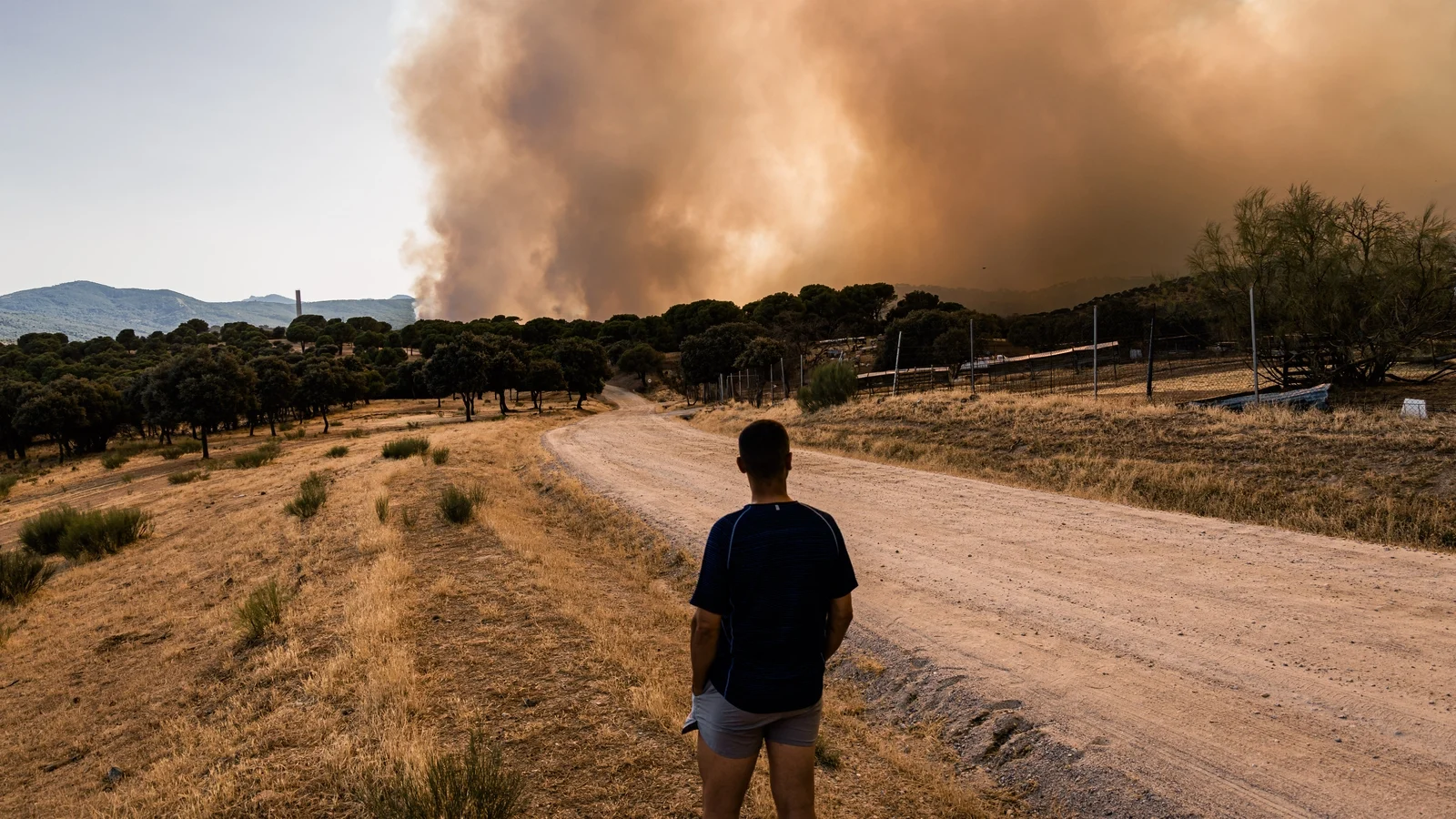 Emergency declared as wildfires sweep Madrid region