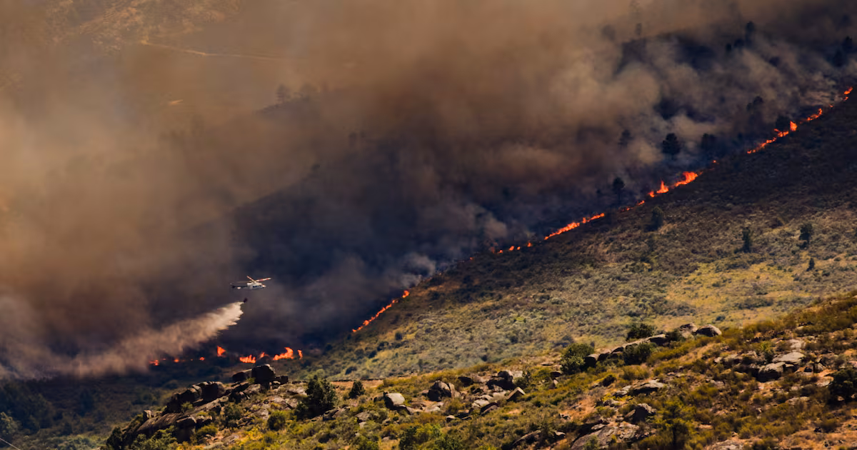 Wildfires Displace Tens of Thousands in Europe
