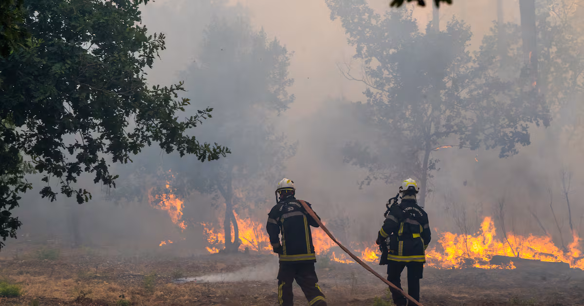 Wildfire forces evacuations in Bordeaux, France