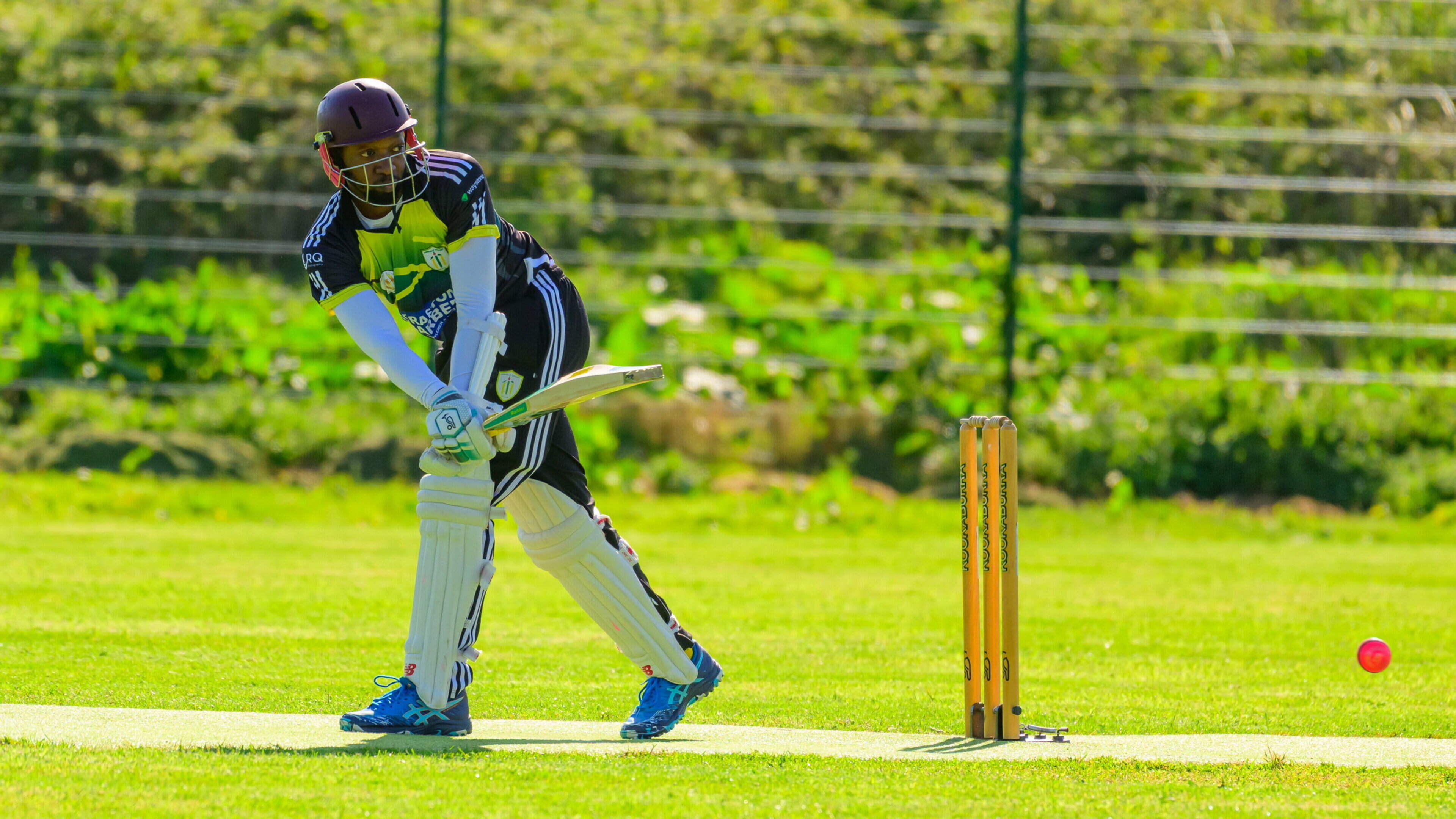 Dundalk Cricket Club Suffers Two Recent Defeats