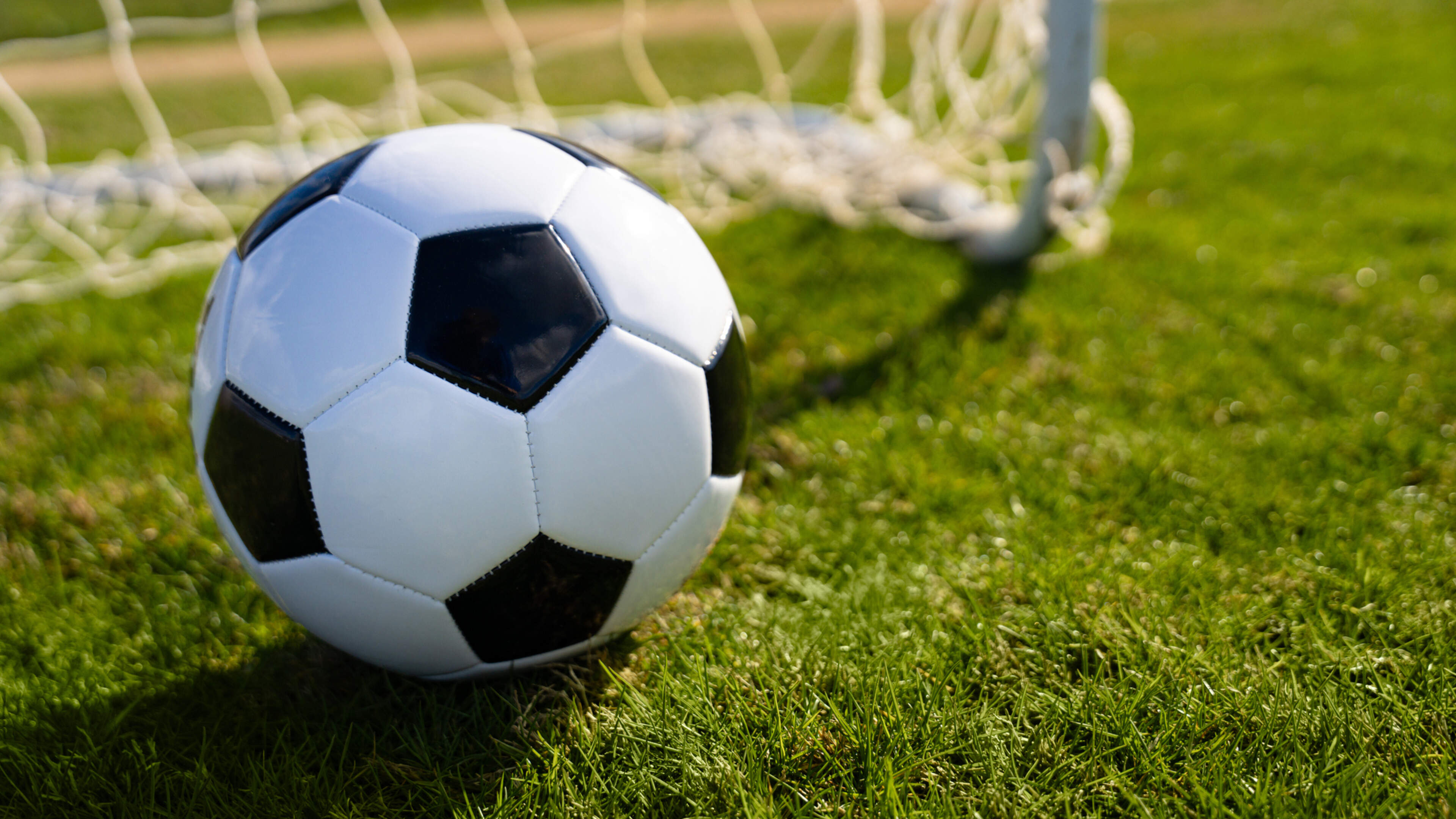 Man Arrested in FAI Abuse Investigation