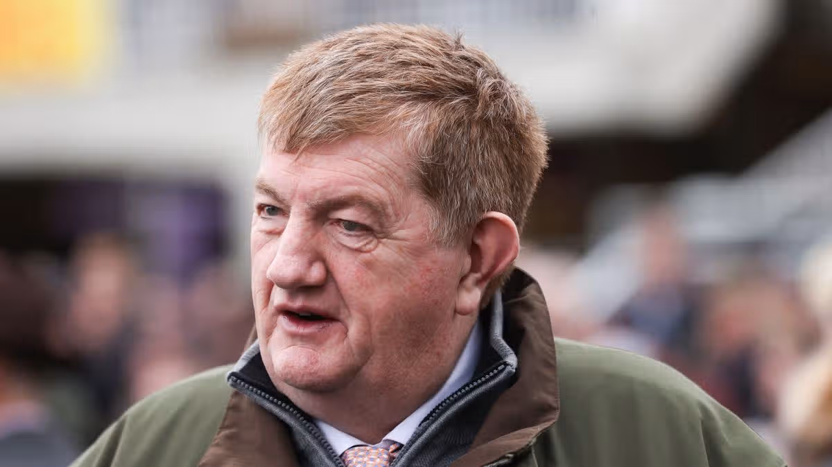 Shark Hanlon and son win 40/1 race
