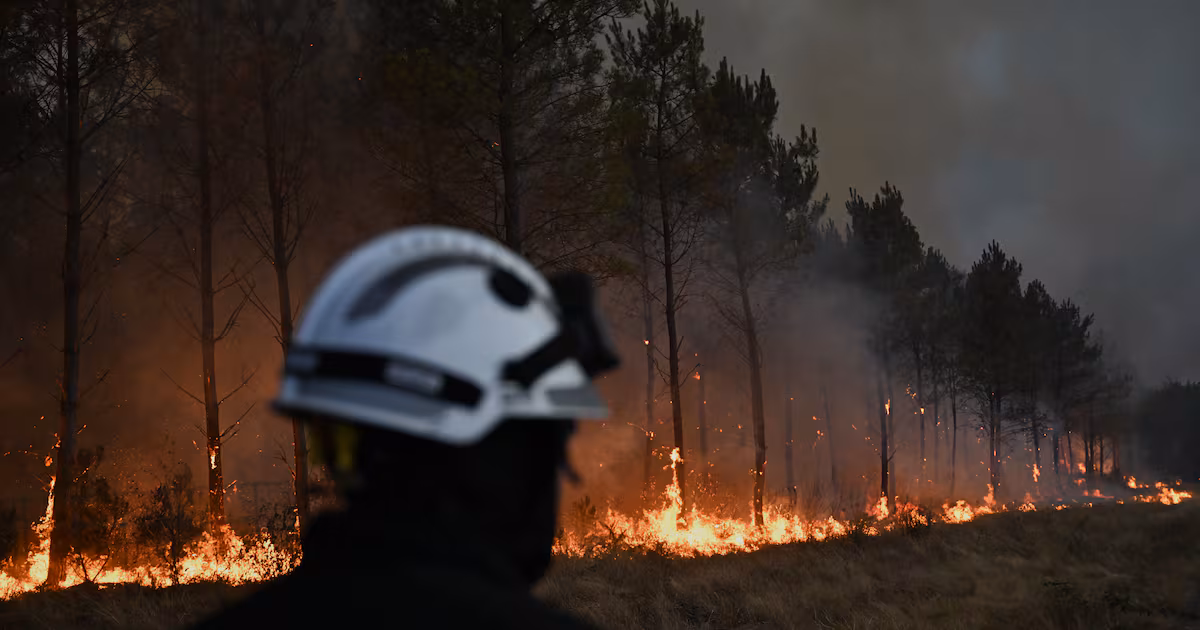 Macron holds crisis meeting over wildfires