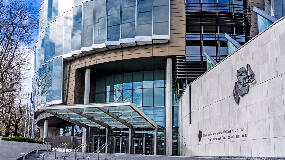 Man pleads guilty to manslaughter in Dublin