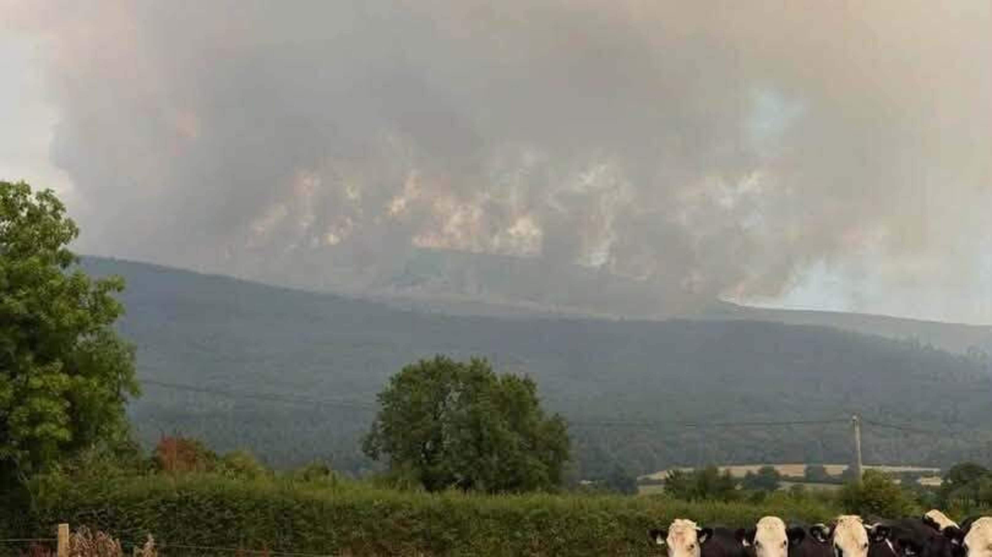 Slievenamon Wildfire Remains Stable Amid Flare-Ups