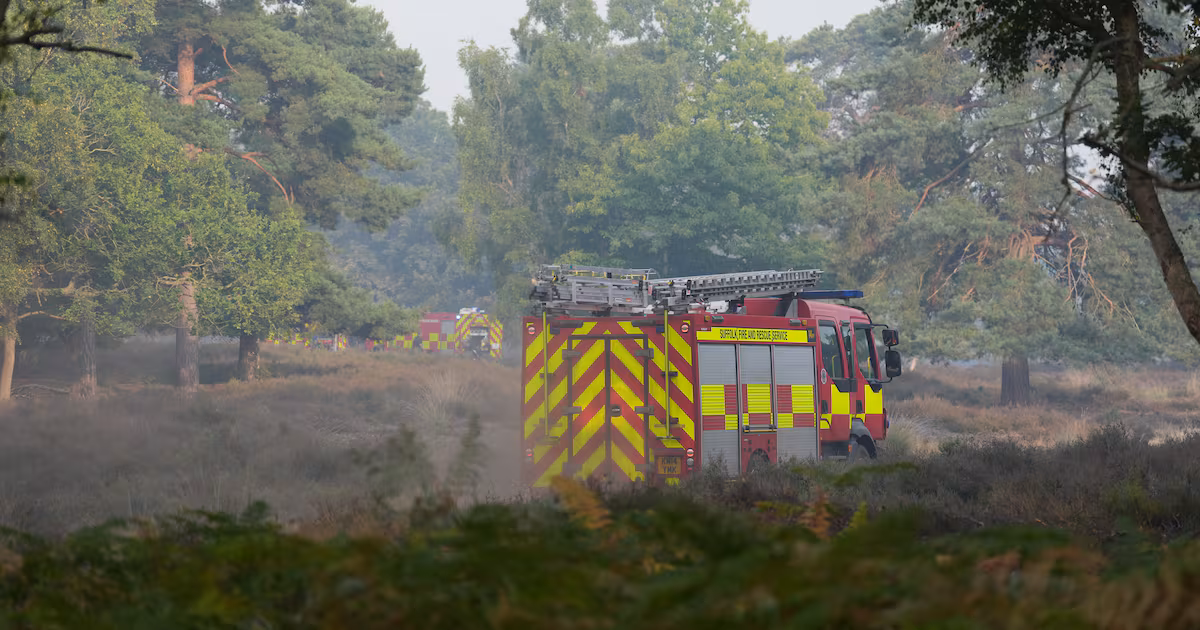 Firefighters Stabilize Suffolk Wildfire Near Nuclear Site