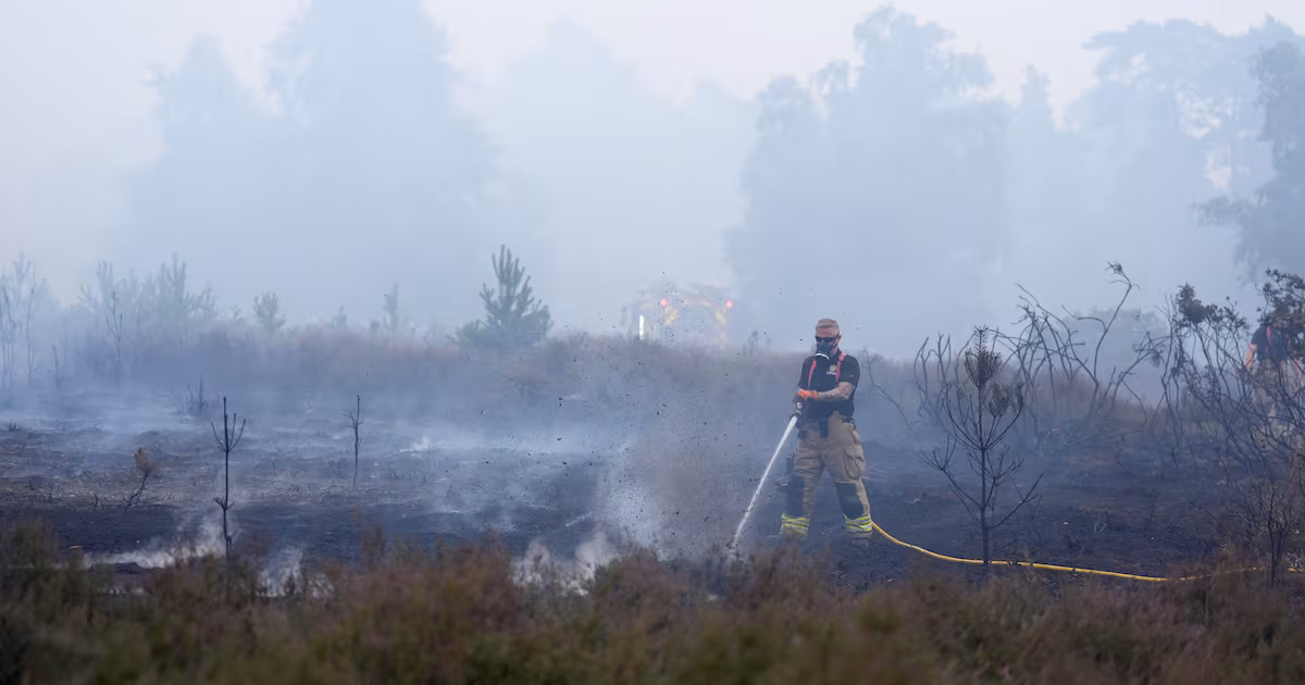 National Trust appeals for help after wildfire devastation