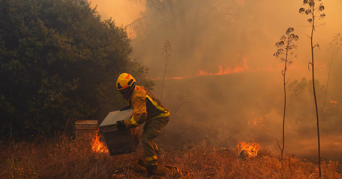 UN warns strong El Nino fuels climate crisis