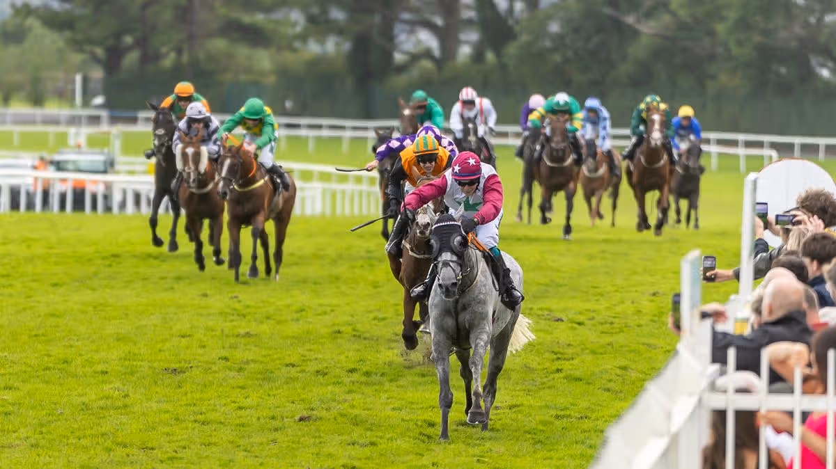 Seventeen Jockeys Banned at Galway Races