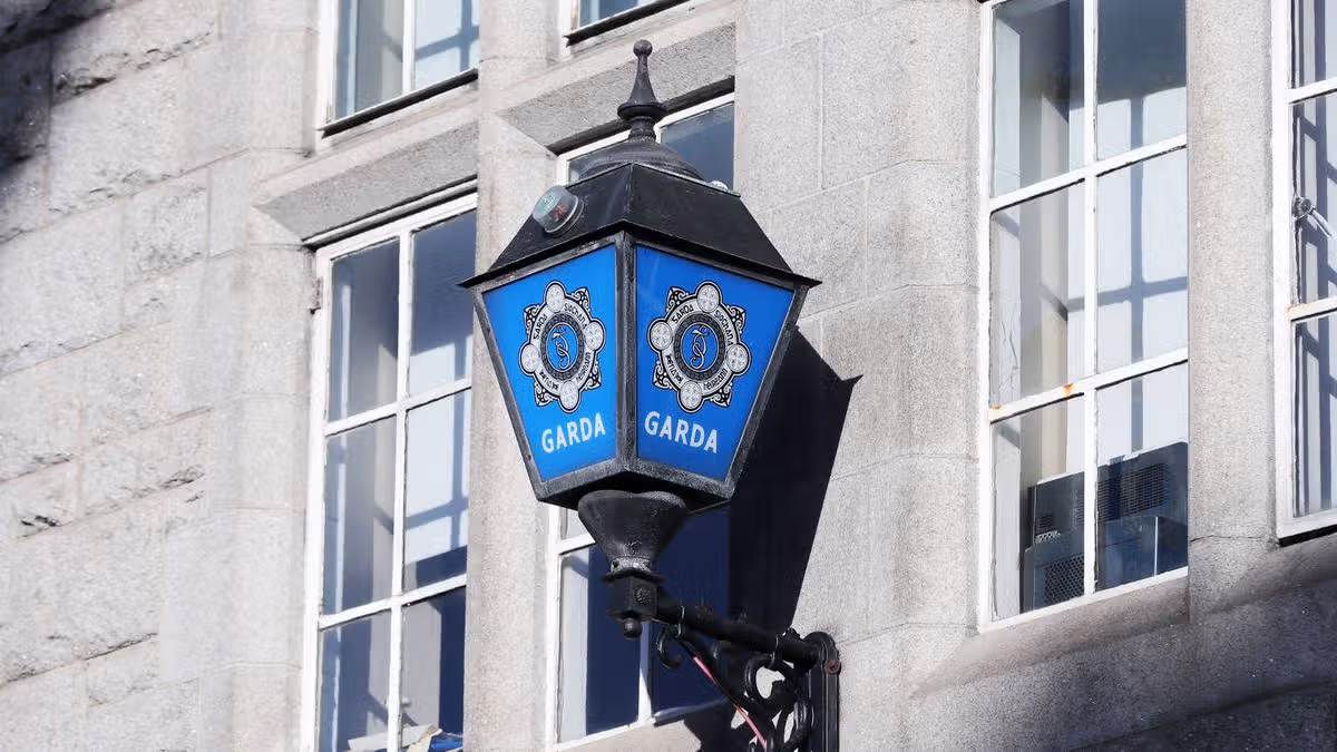 Gardai seize gun and ammo in Dublin