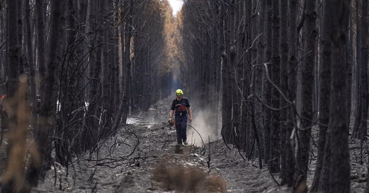 Wildfires in France: Bordeaux and Provence Updates