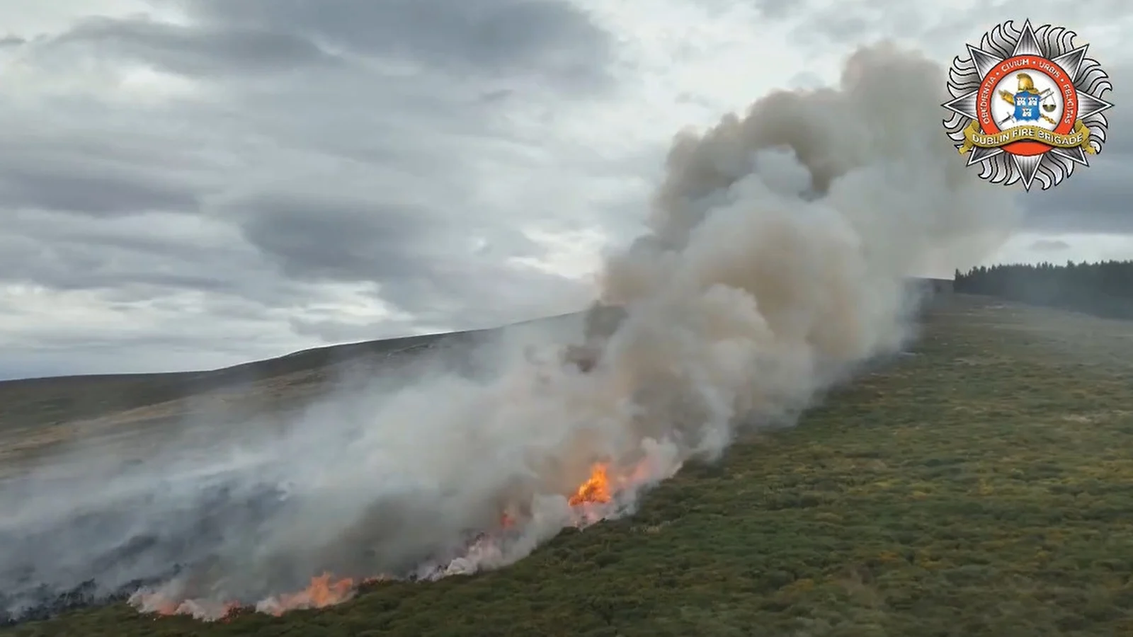 Firefighters Tackle Wildfire in Dublin Mountains
