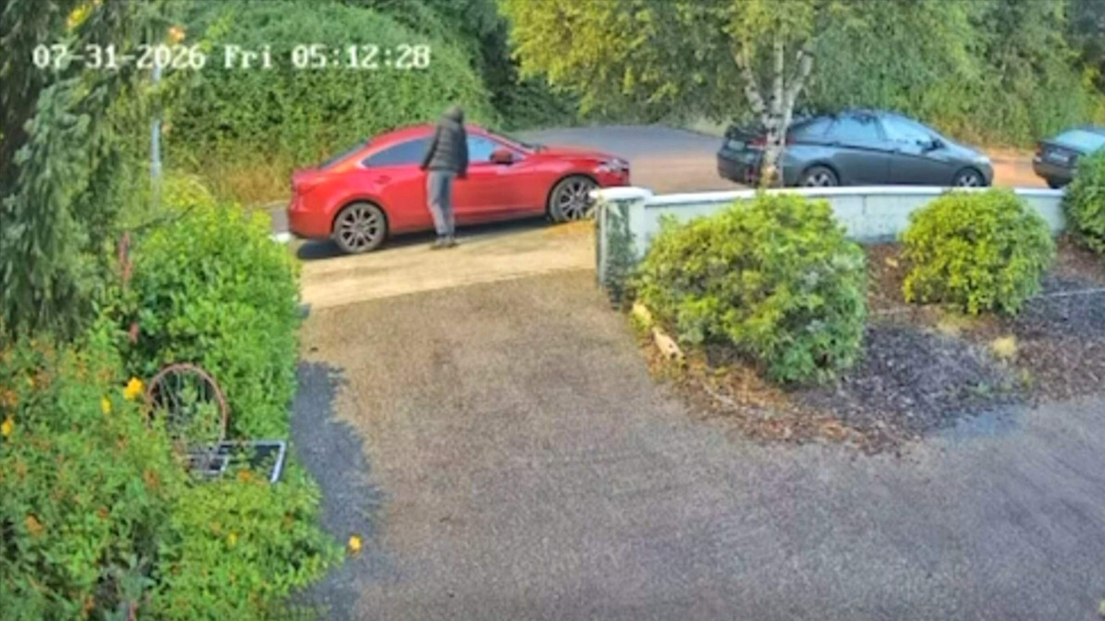 Wicklow gardaí investigate car thefts