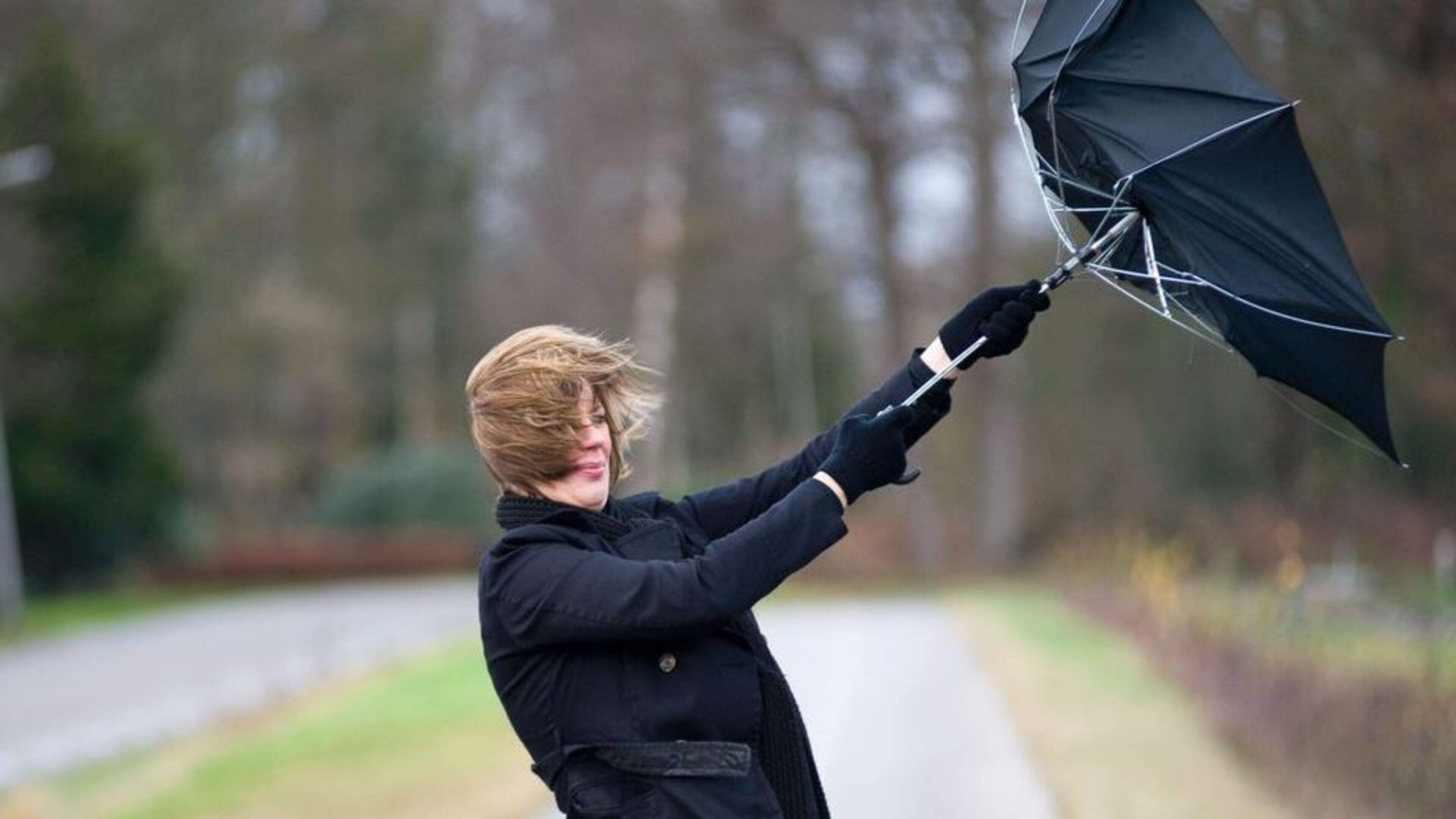 Unseasonably Windy Day Forecasted in Donegal