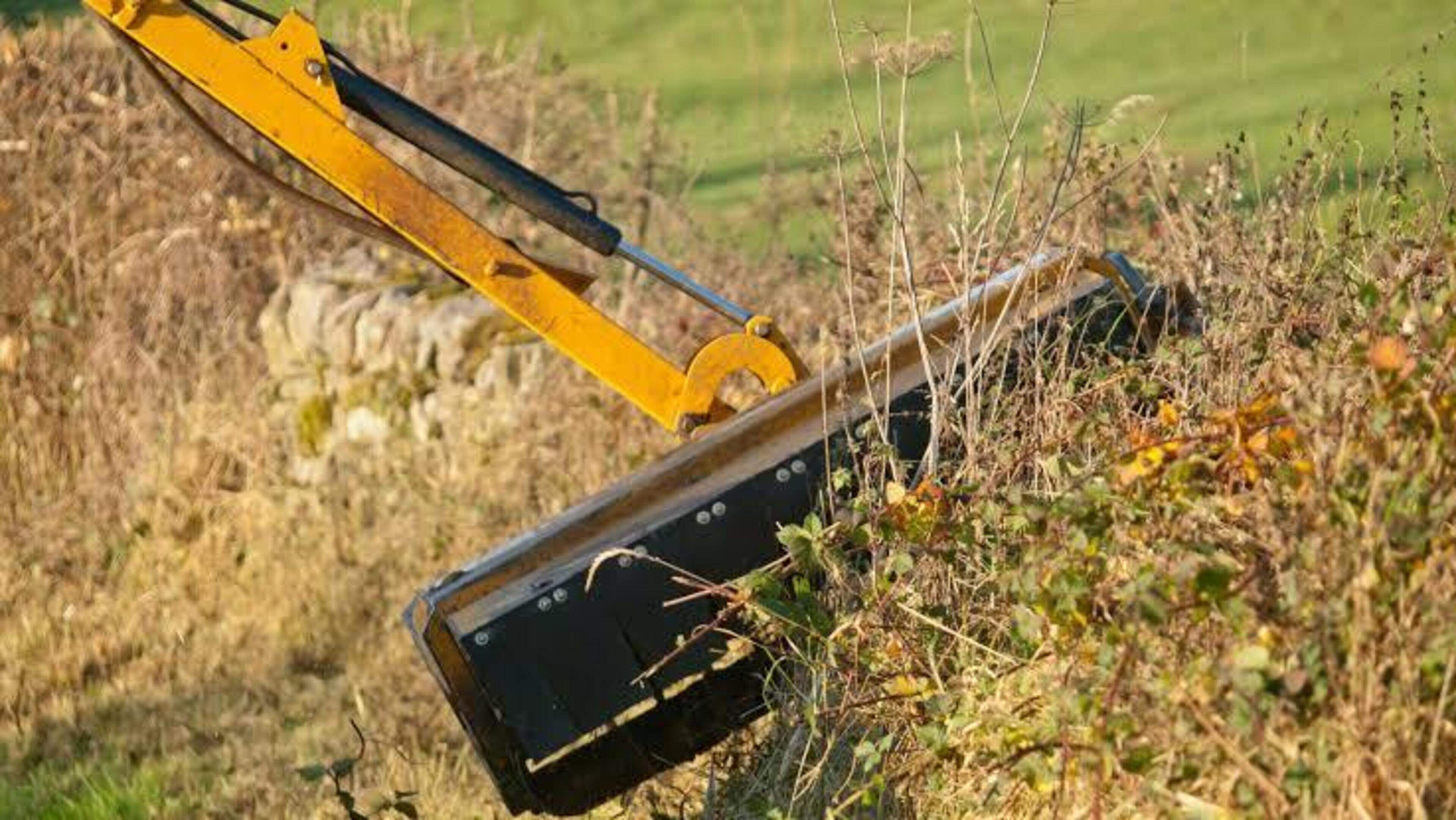 Kerry Councillor Proposes Hedge Cutting Grant Scheme