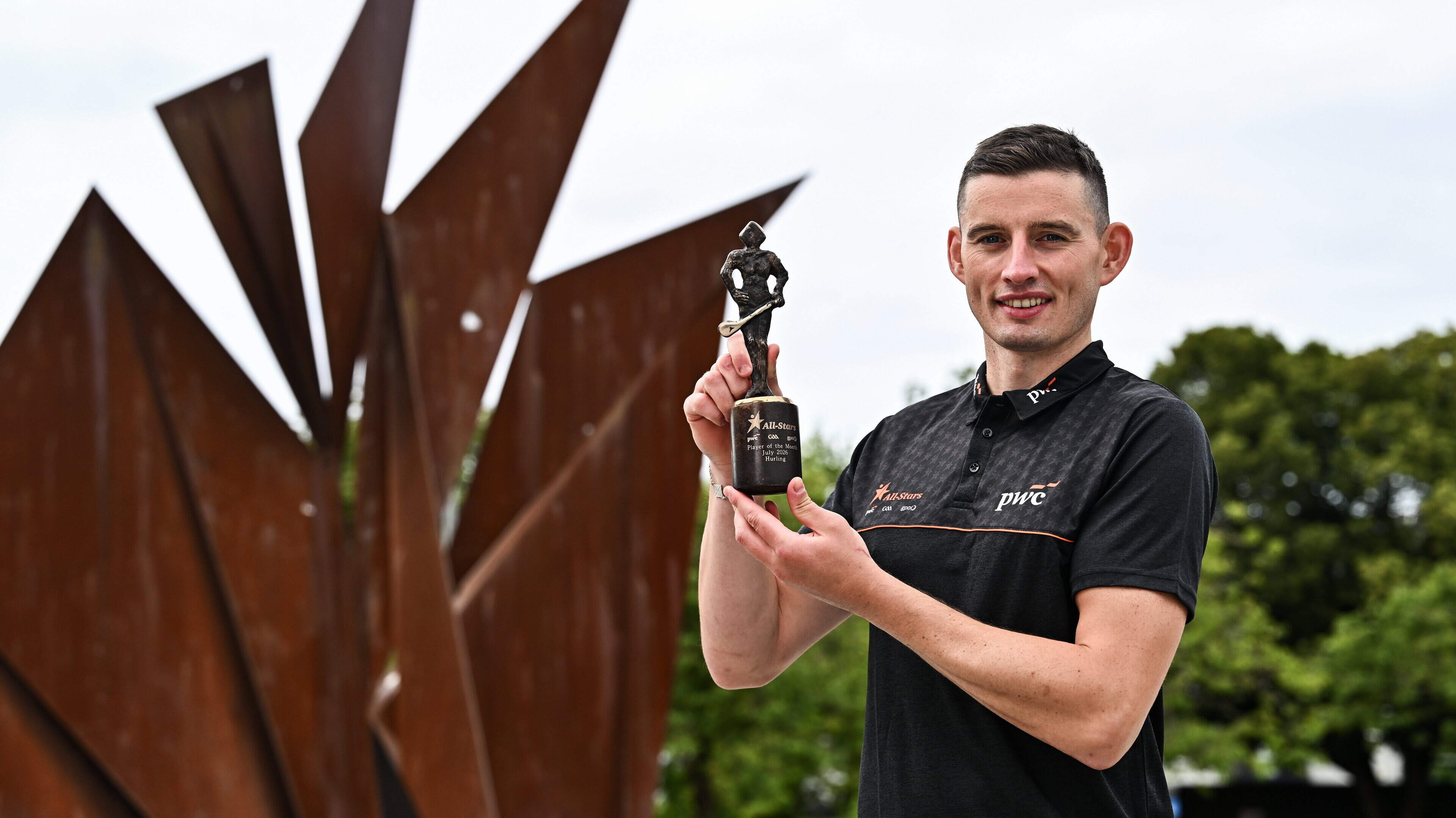 Hurling Star Opposes VAR Implementation