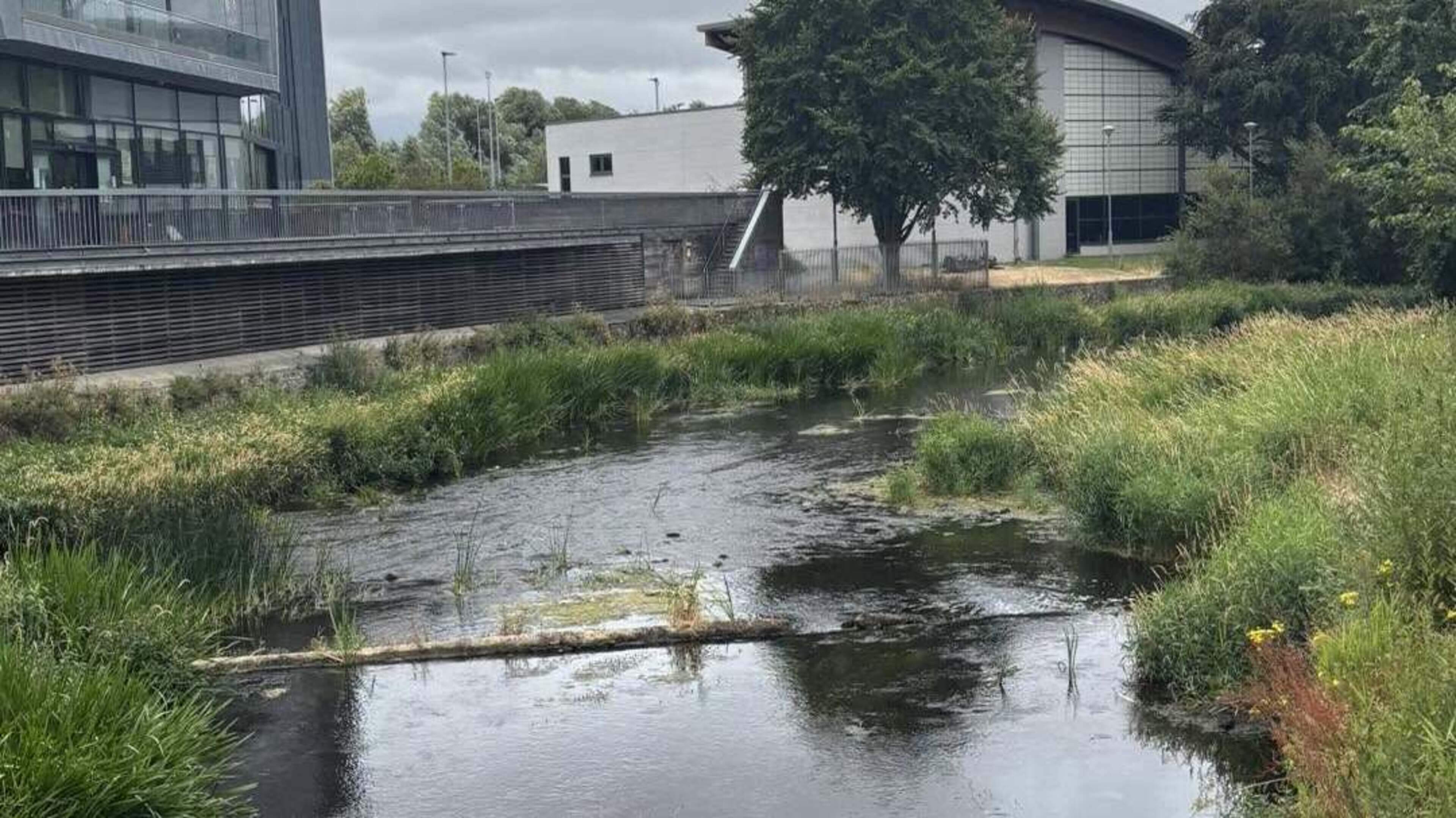 Government to Fund Tipperary River Clean-Up