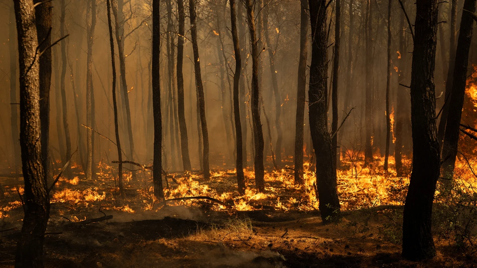Greek mayor charged over Athens wildfire