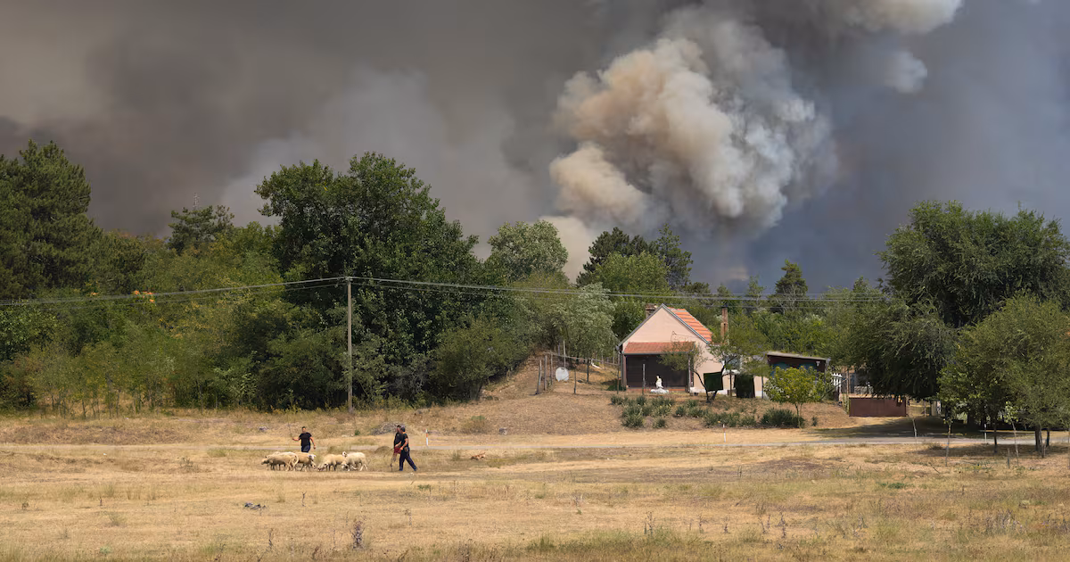 Serbia Battles Wildfires Amid Extreme Heatwave